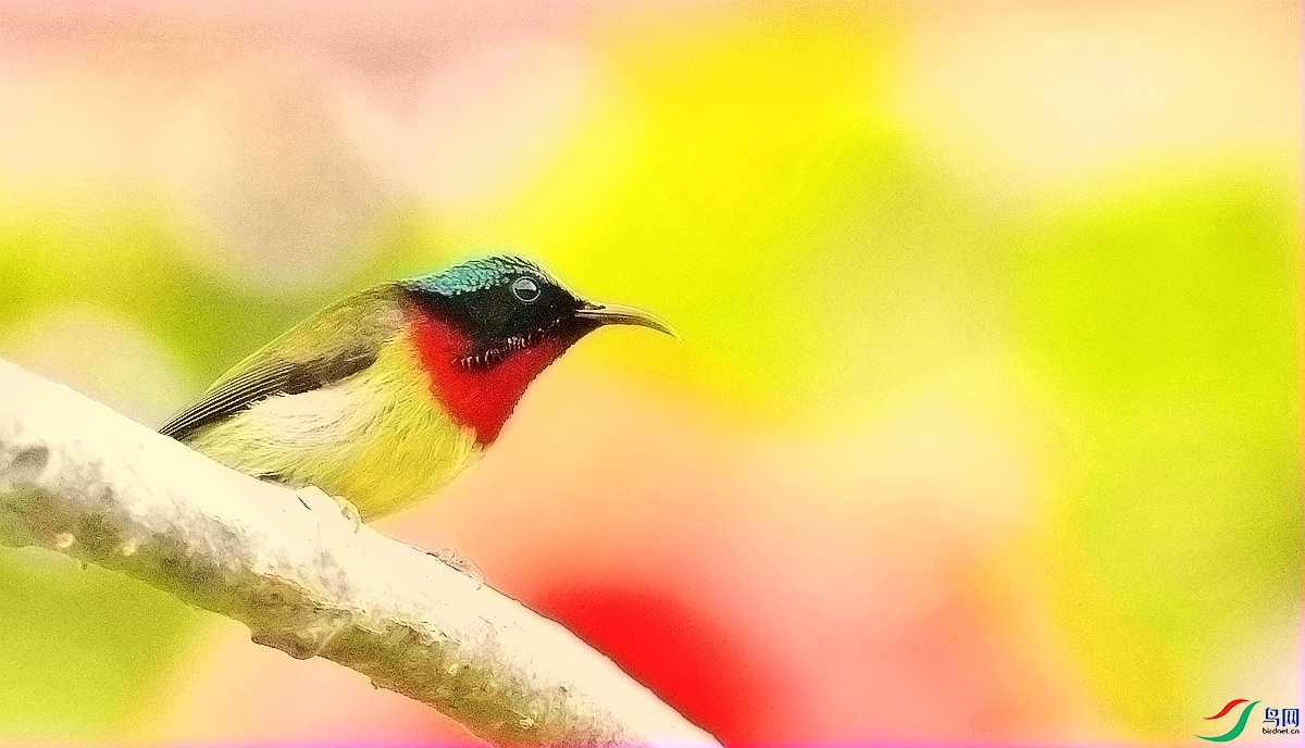 DSC_2033.JPG