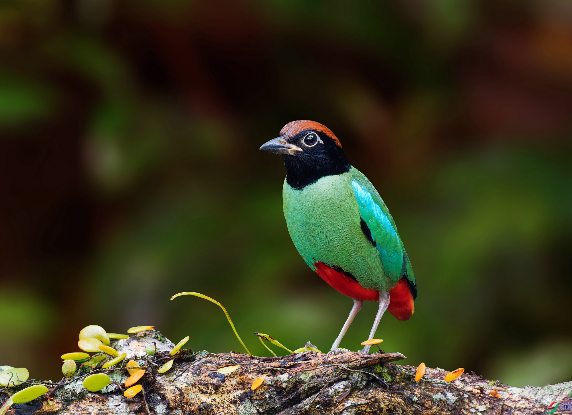 P3038785_DxO ����_����.jpg