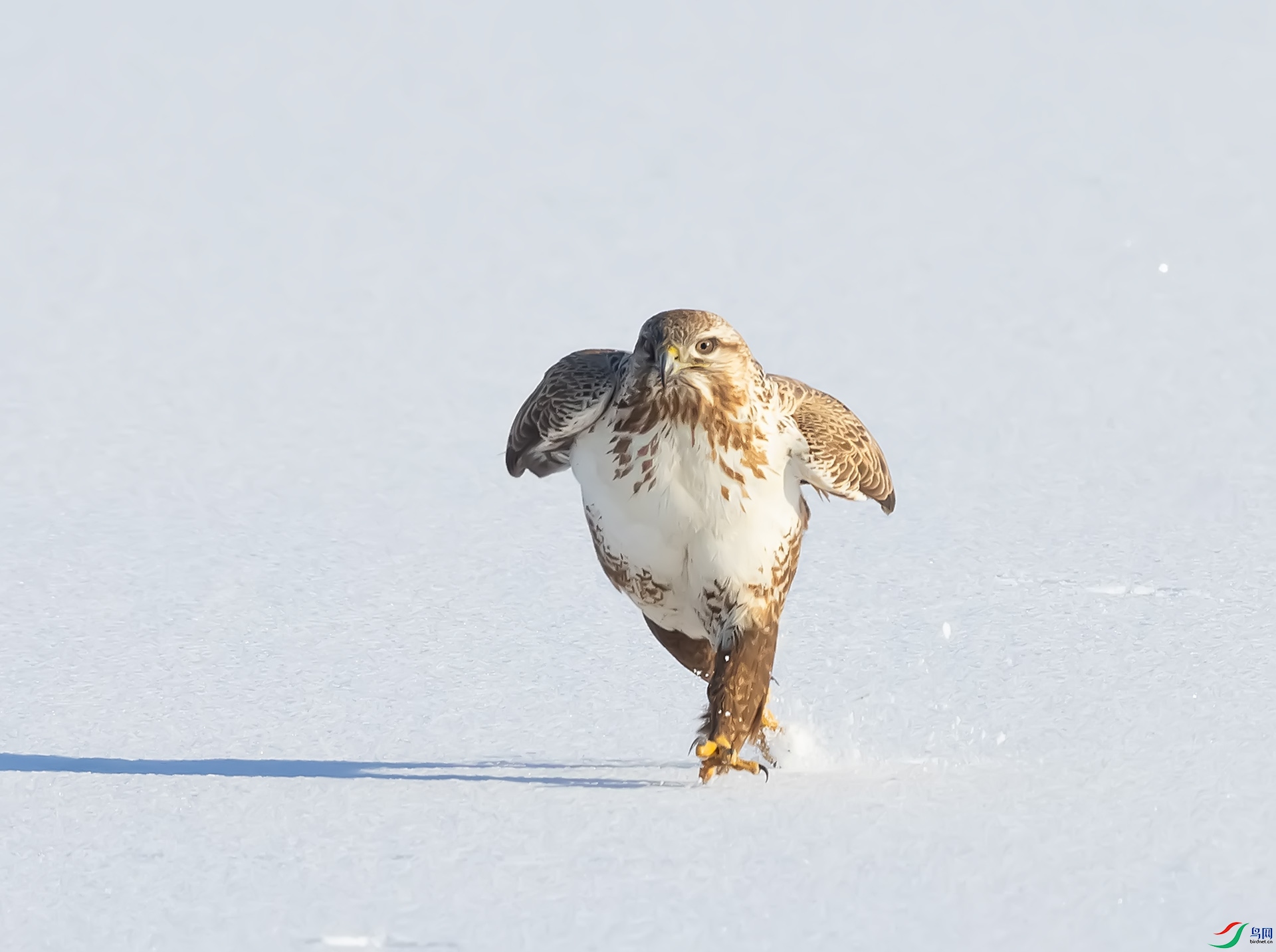 019A1974 ����.jpg