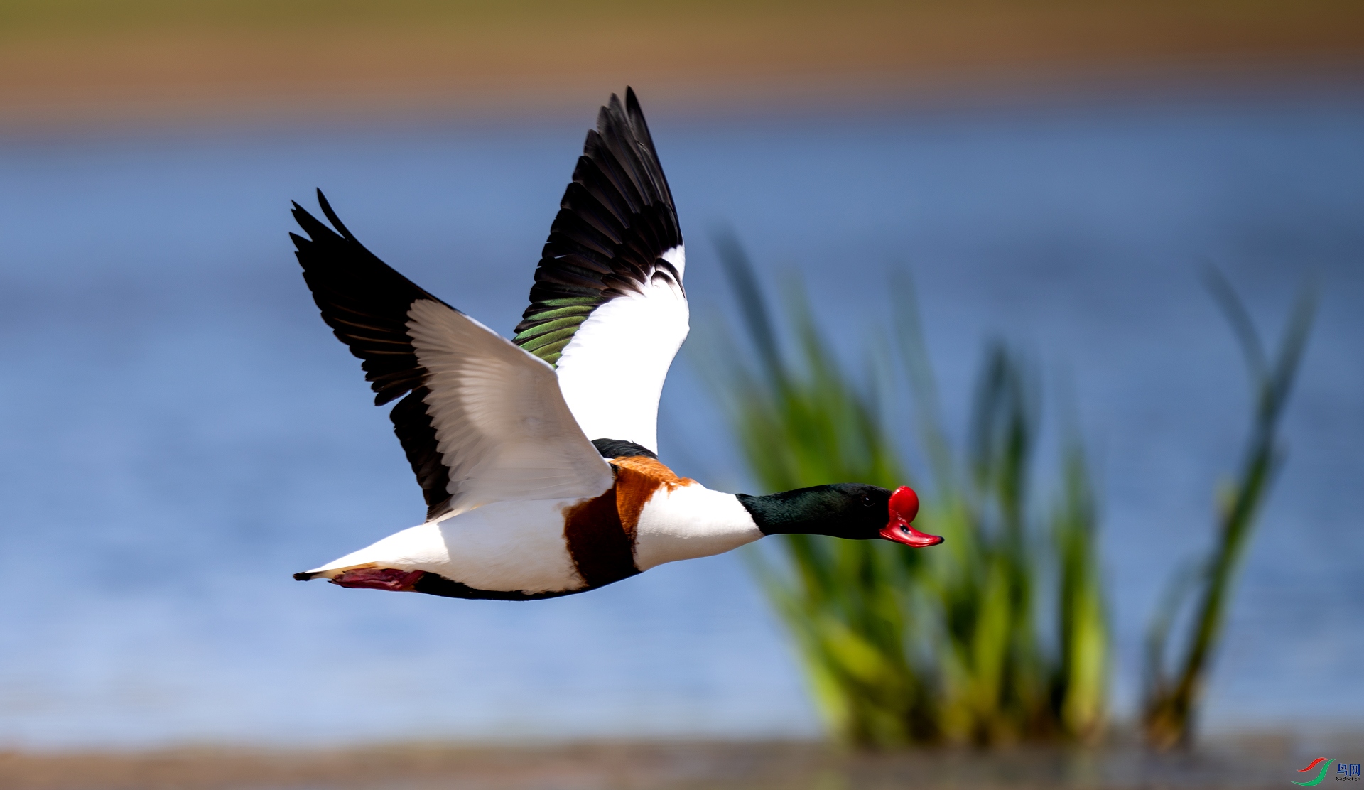 DSC_8816-����ǿ-NR=.jpg