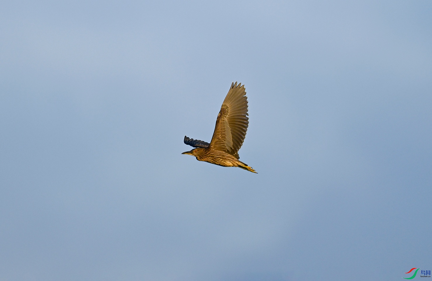 _DSC6893f.jpg