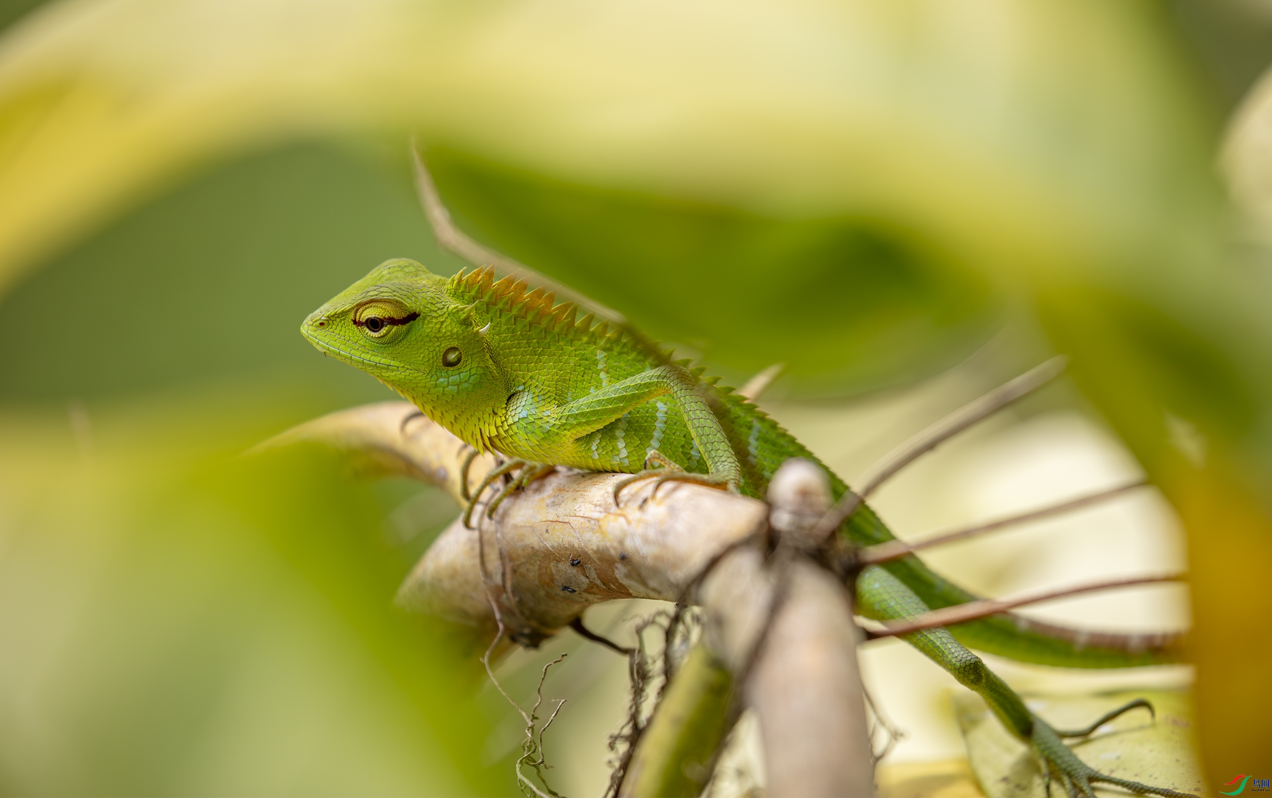 CB0A0013-����ǿ-NR ����.jpg