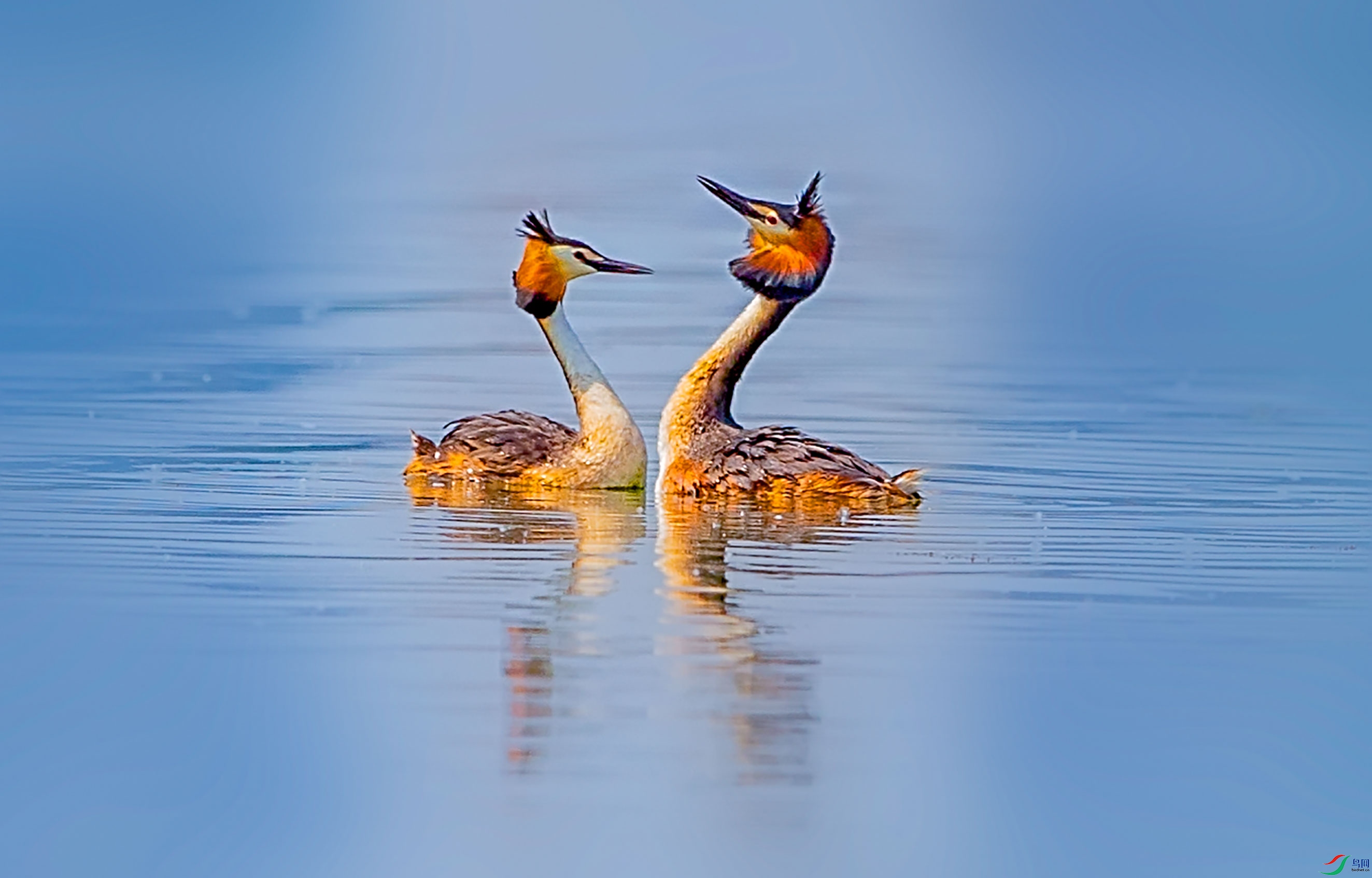 _W9I9367-��.jpg