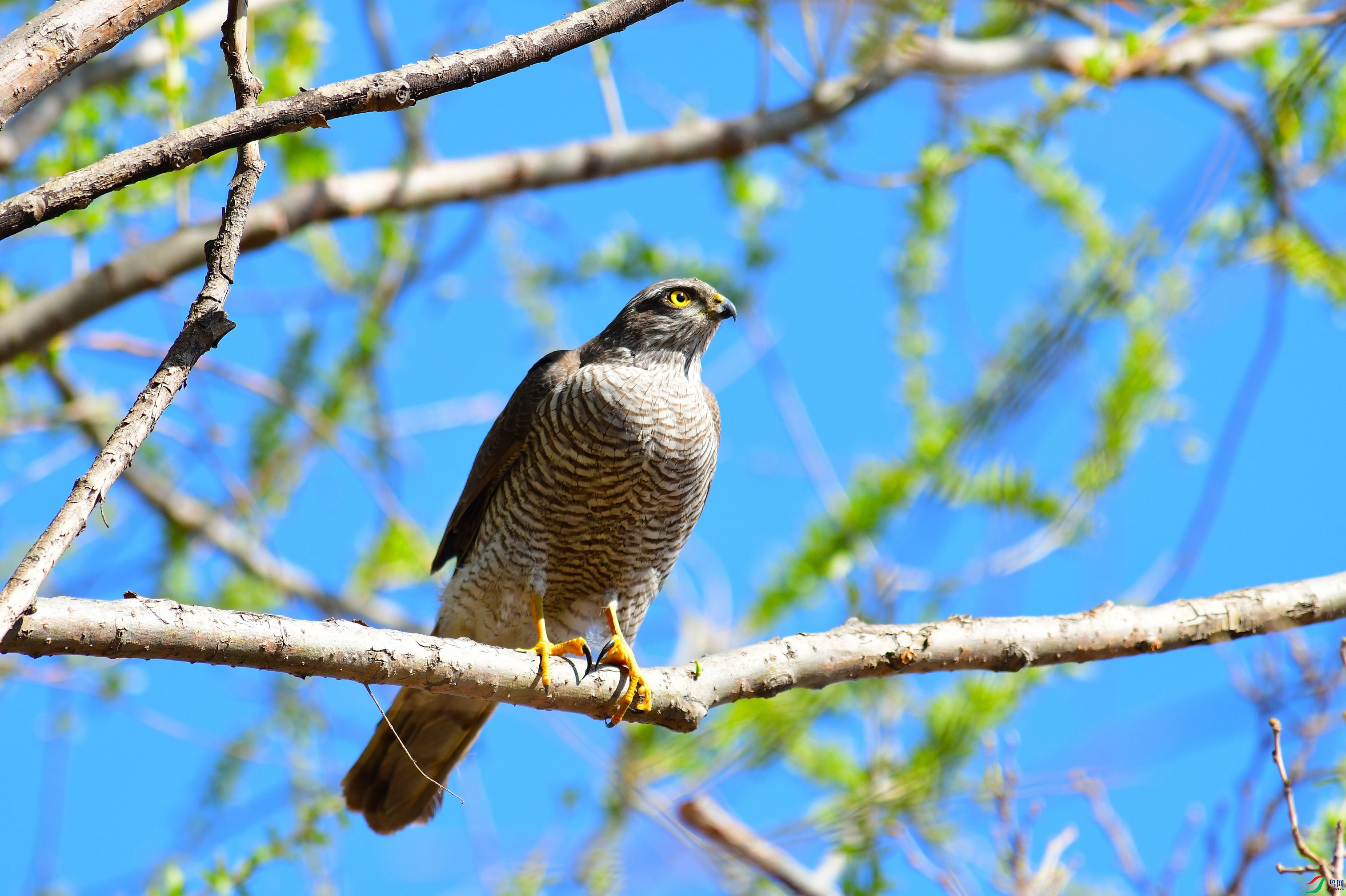 DSC_5286.JPG