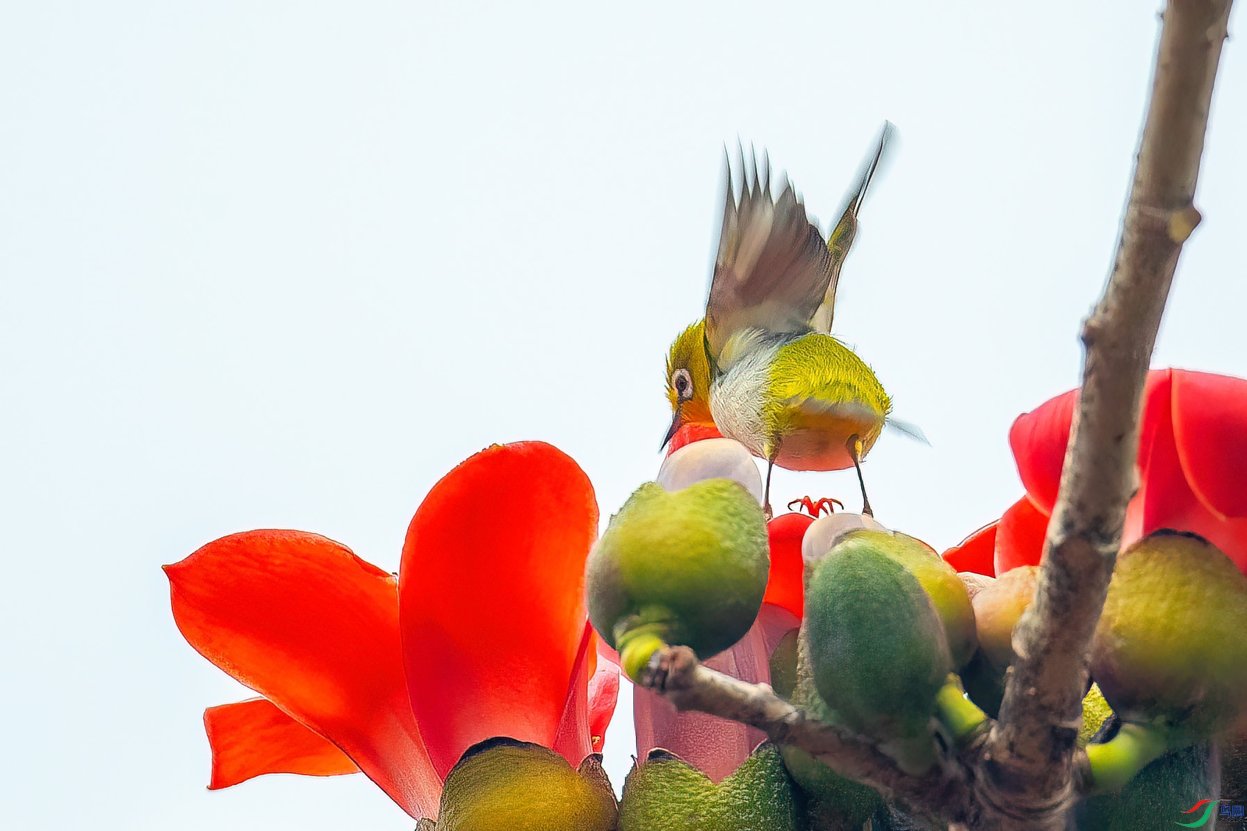 DSC_3686.jpg