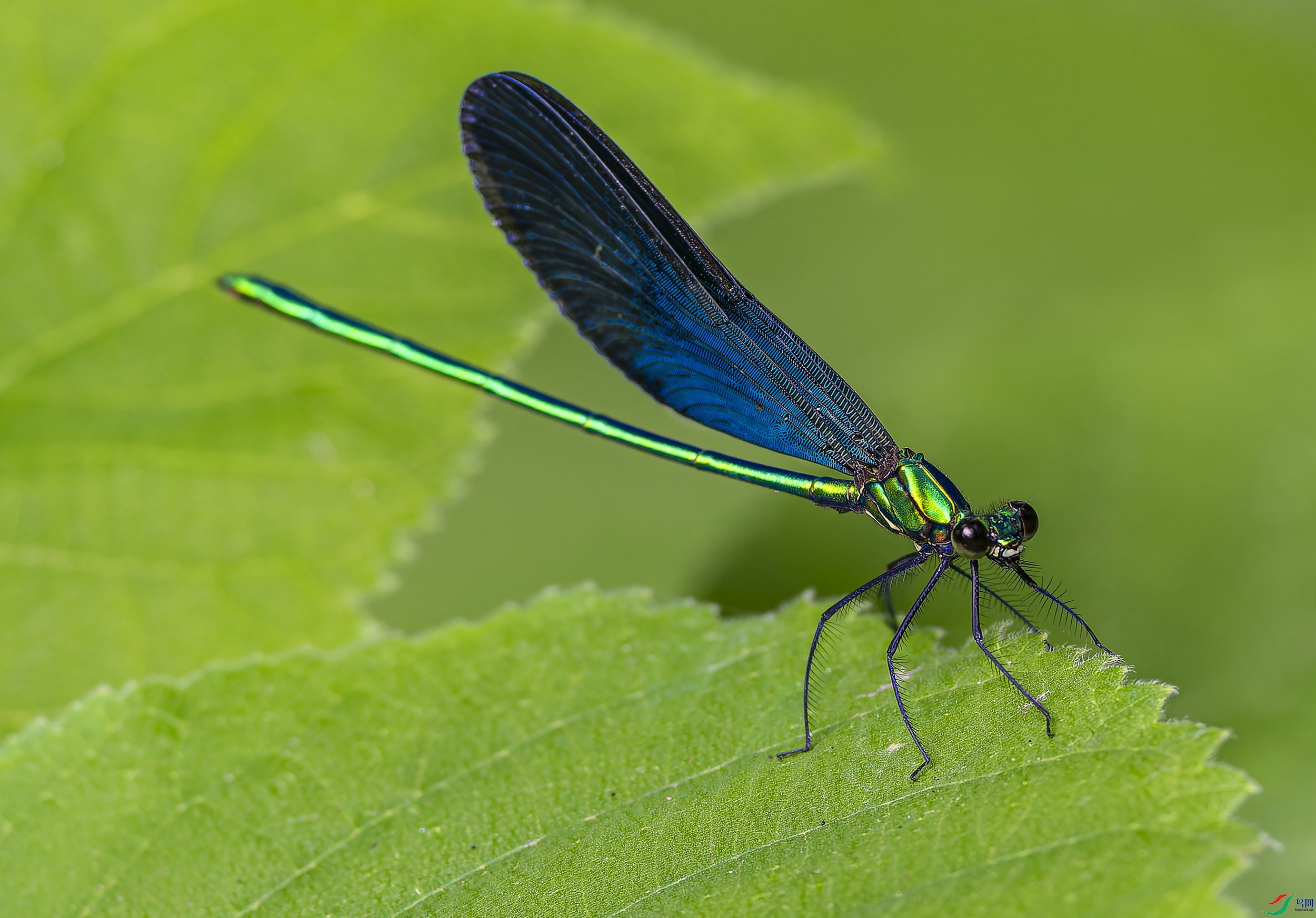 ���� (2)-1.jpg