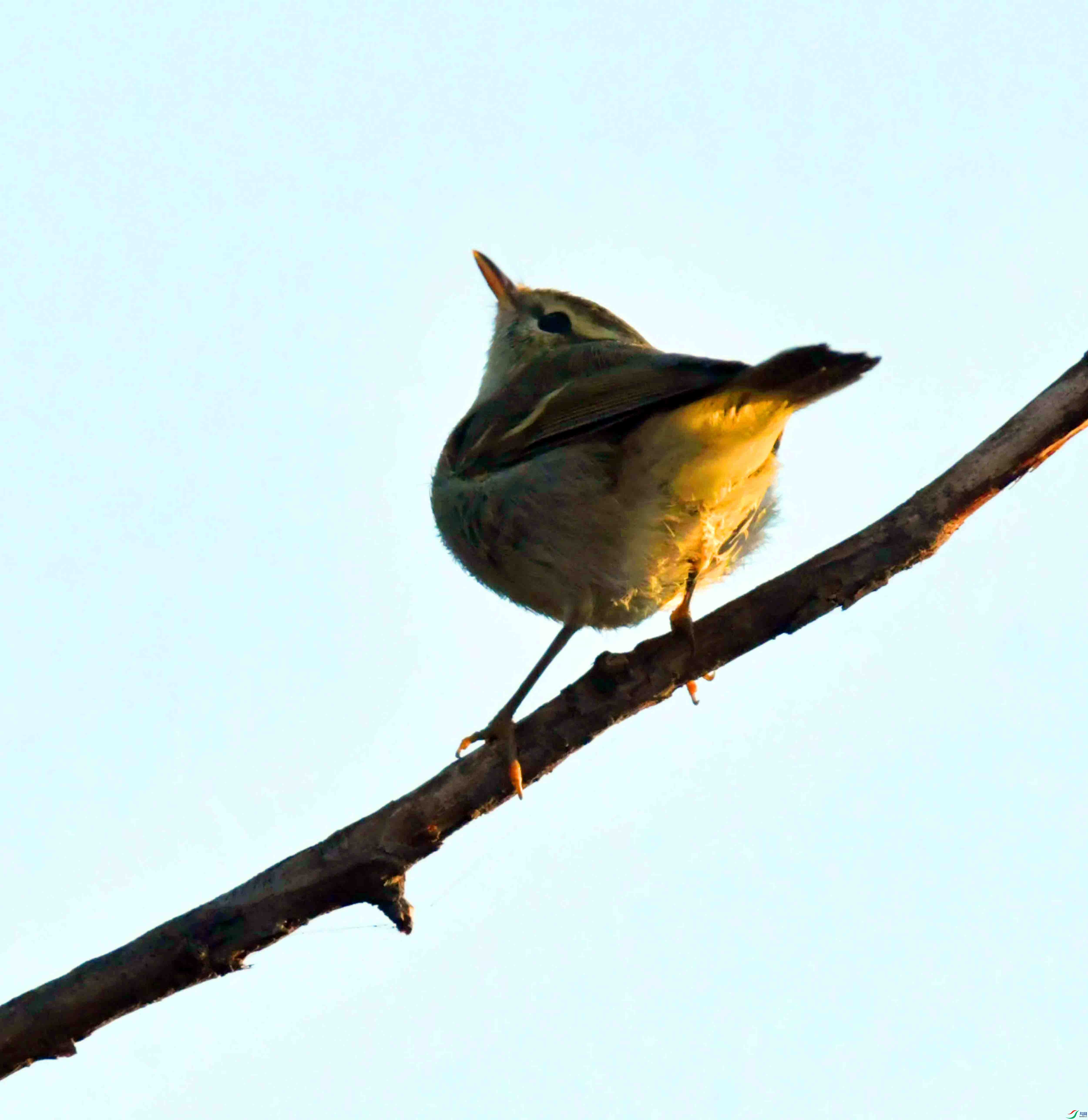 DSC_4450.JPG
