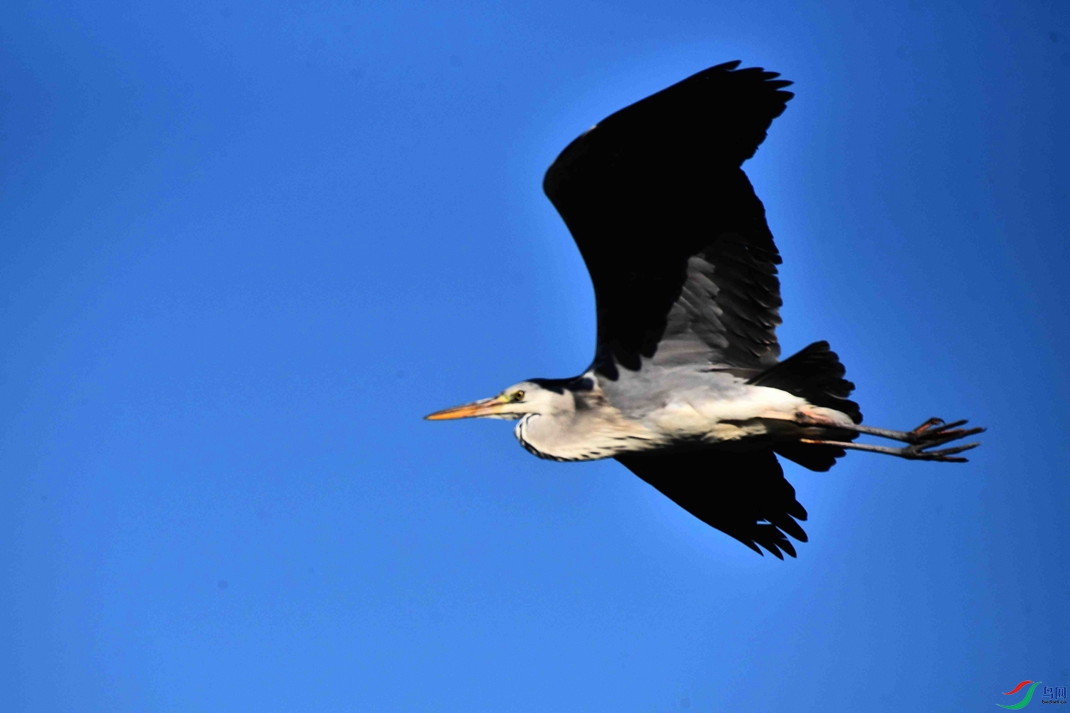 DSC_5714.JPG