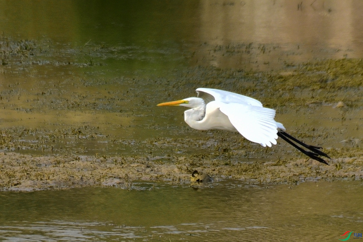 DSC_3927.JPG