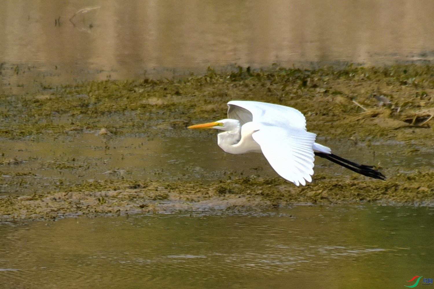 DSC_3926.JPG