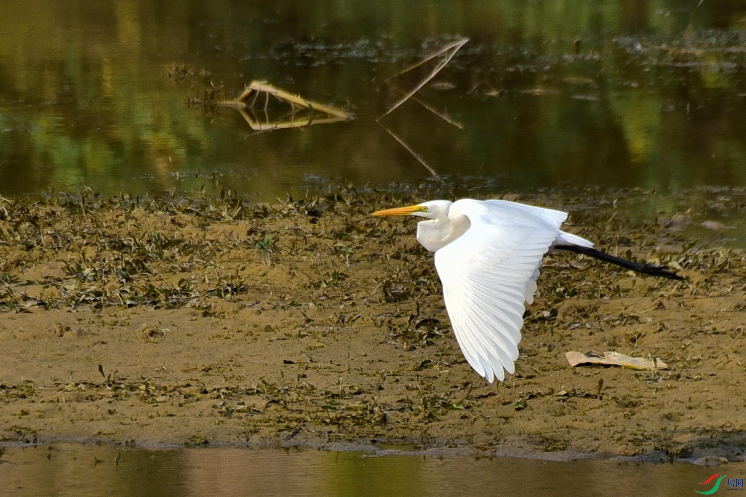 DSC_3925.JPG
