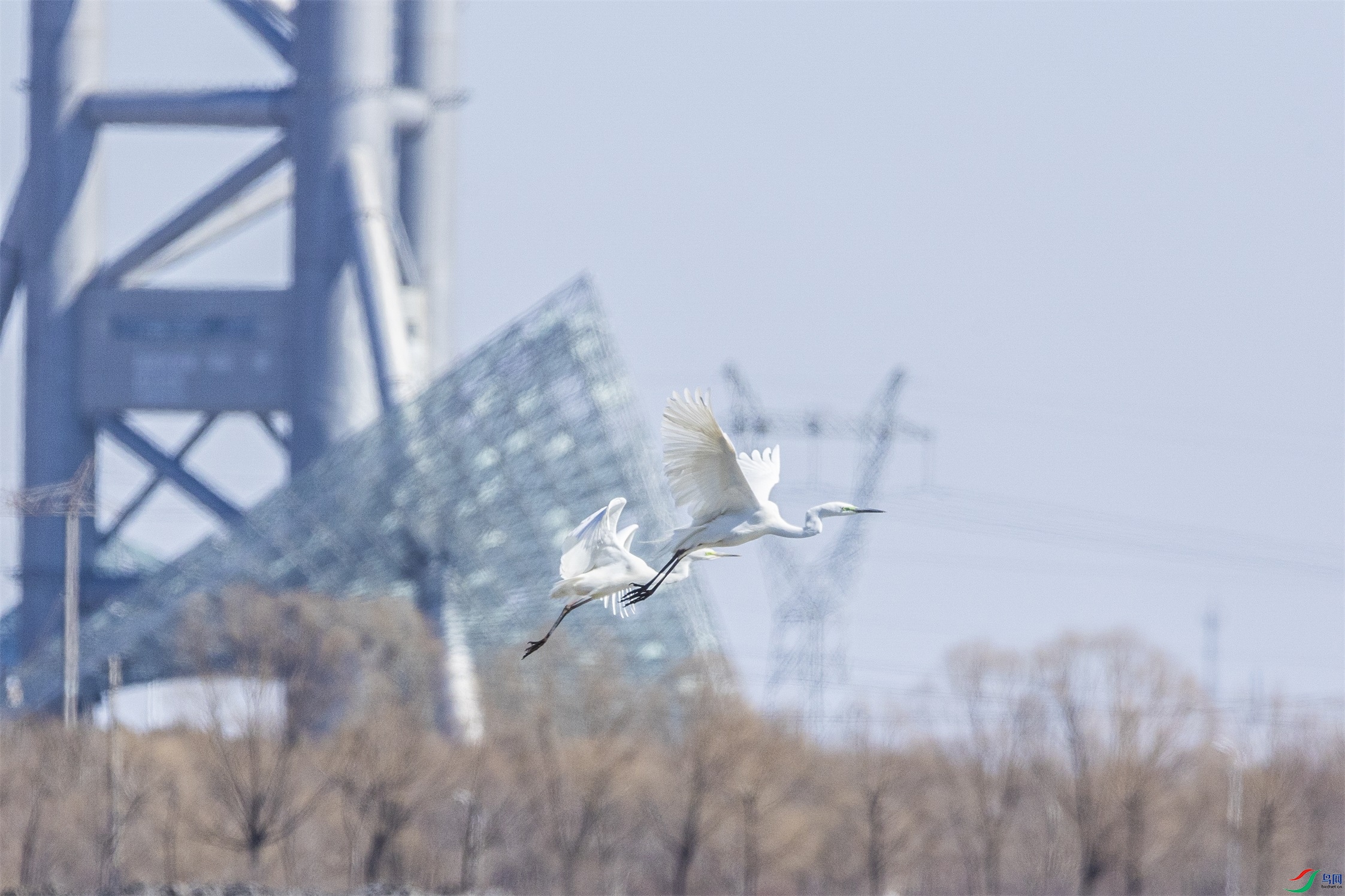 1K3A9370 ����1.jpg