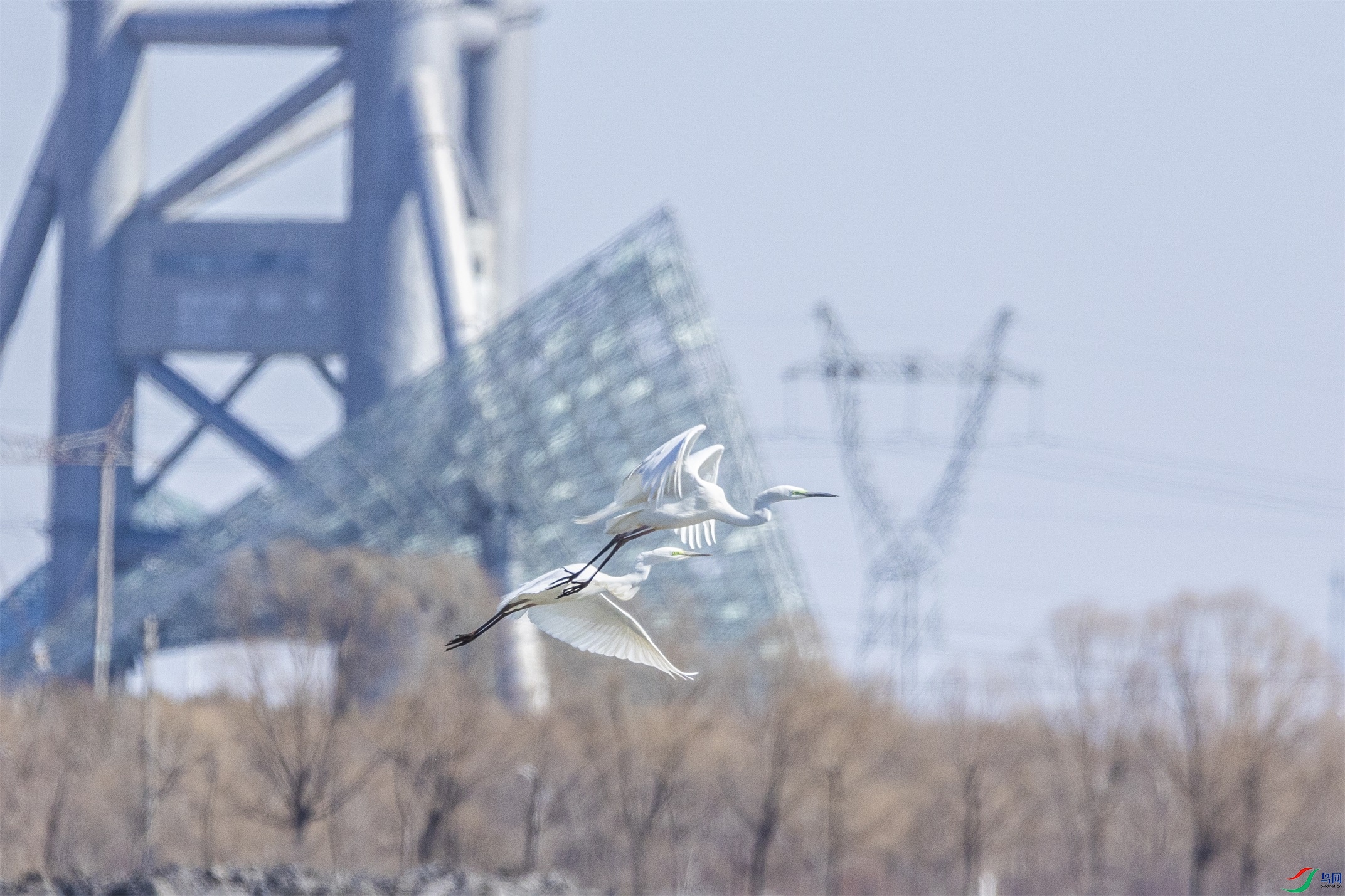 1K3A9368 ����1.jpg