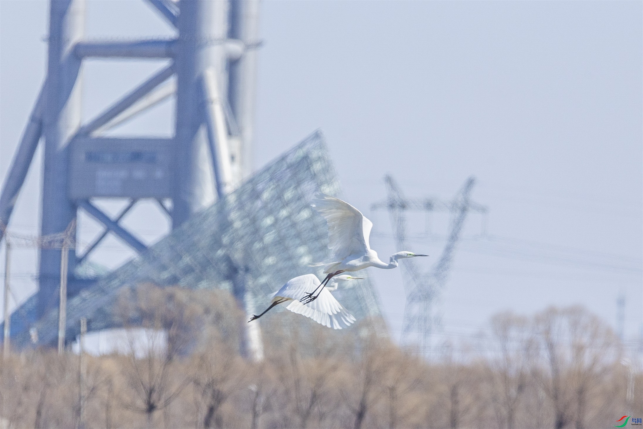 1K3A9369 ����1.jpg