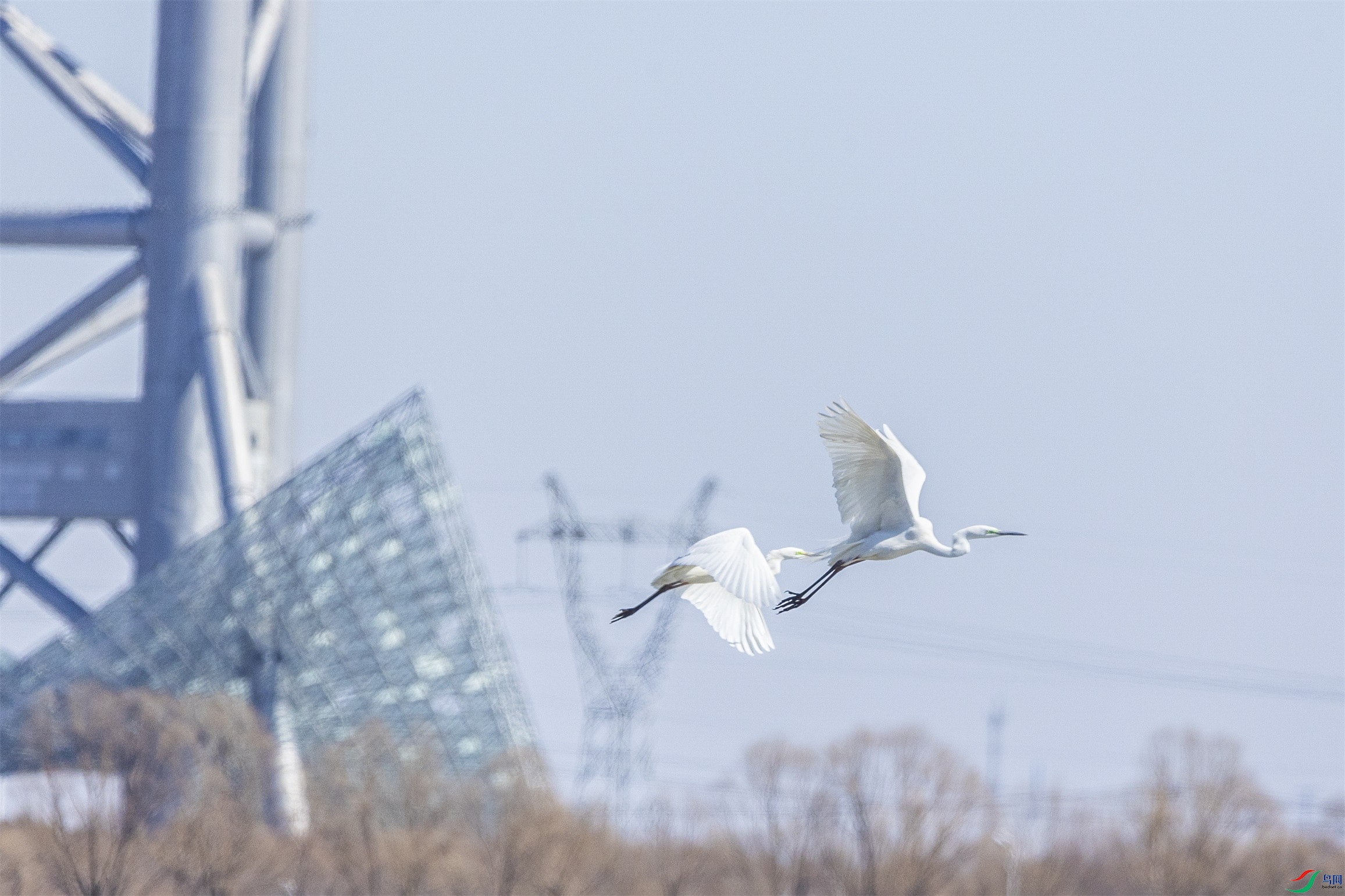 1K3A9375 ����1.jpg