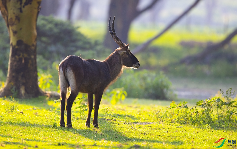 ��ˮ�� (8).jpg