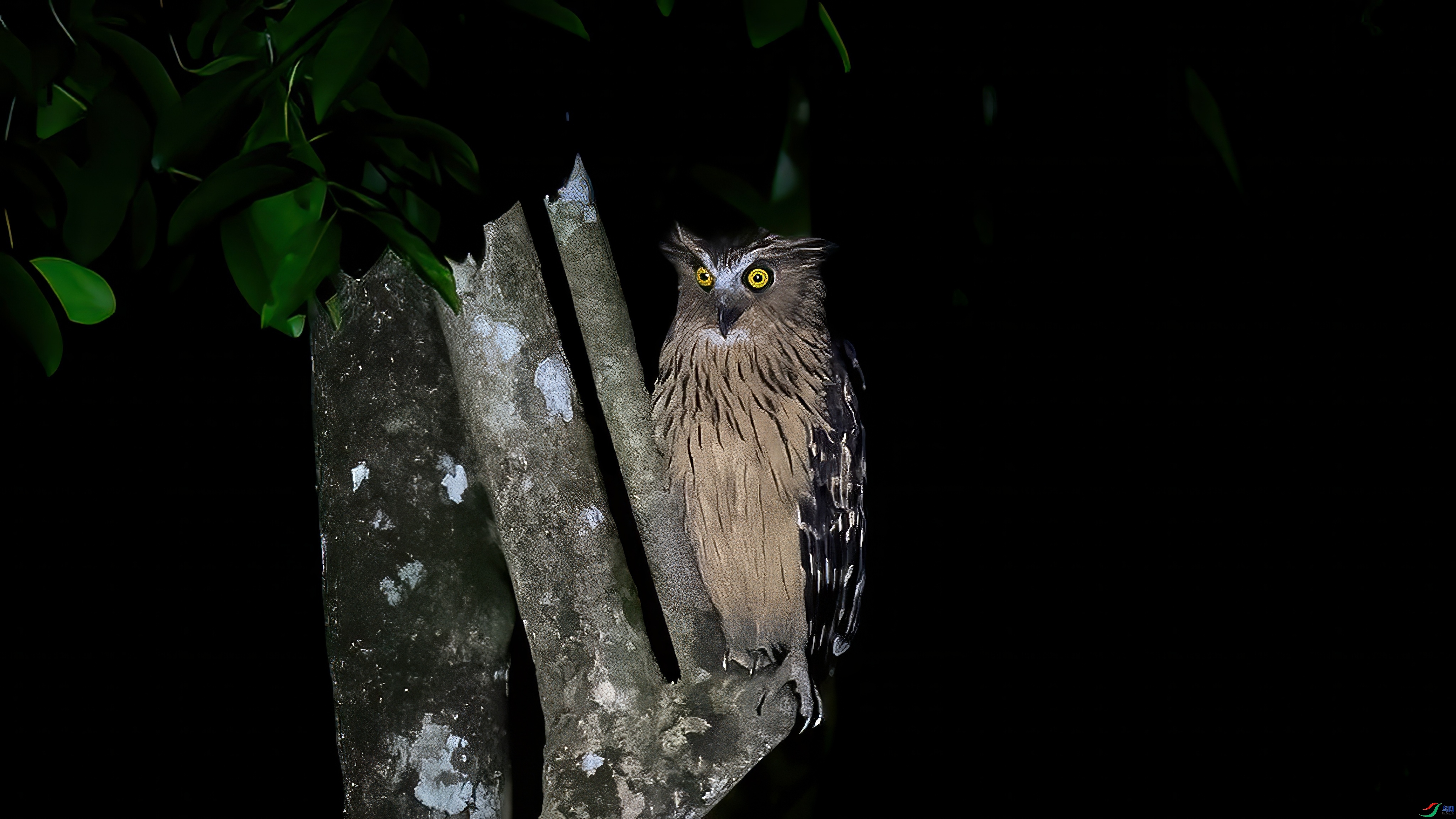 ҹ���������^  ���� СС�ո� ����.jpeg