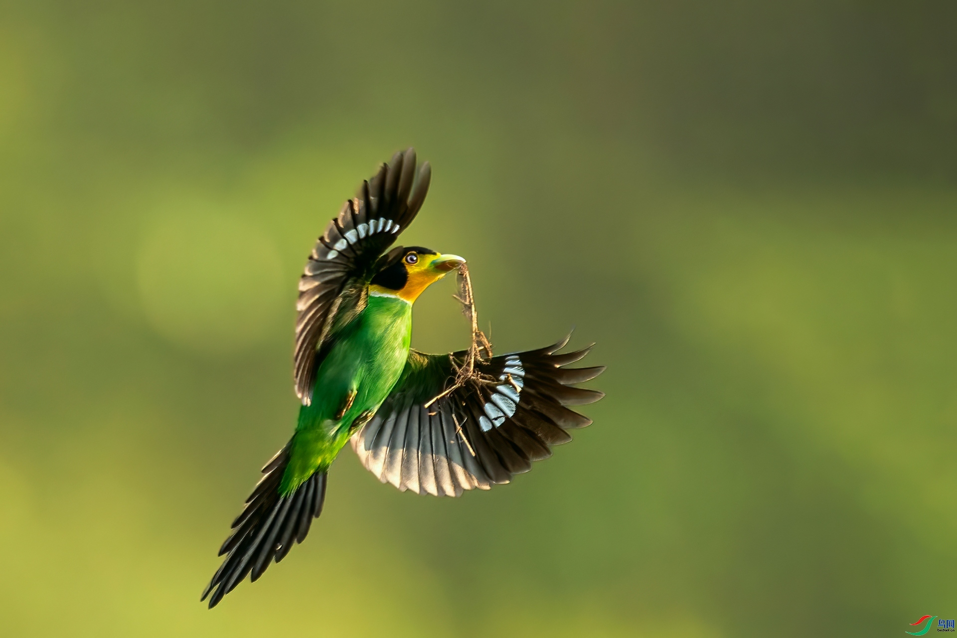 ��ʼ������ ���� ����.jpg