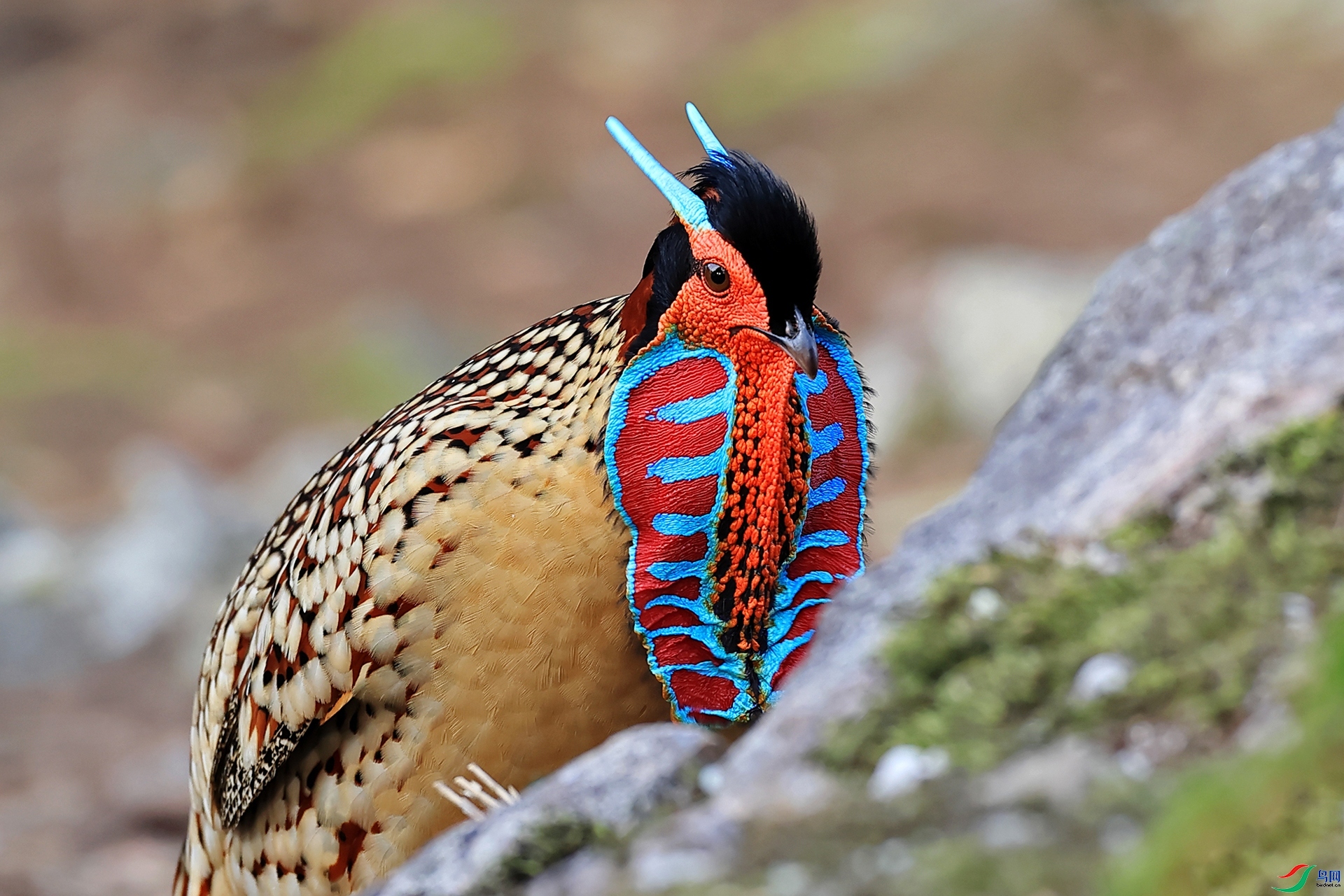 ʾ�� ���� ������ ����.jpg