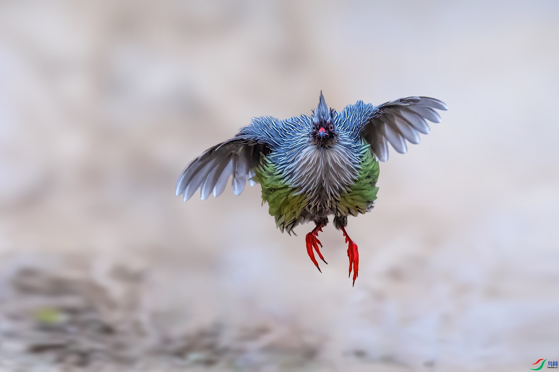 ӭ����� ���� ��ѧ�� ����.jpg