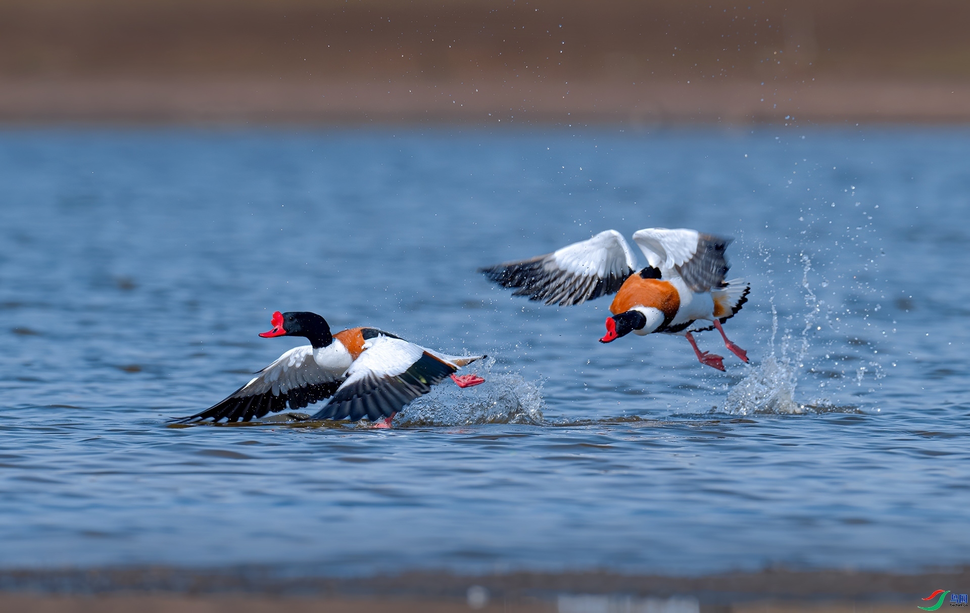 ׷�� ���� �������� ����.jpg