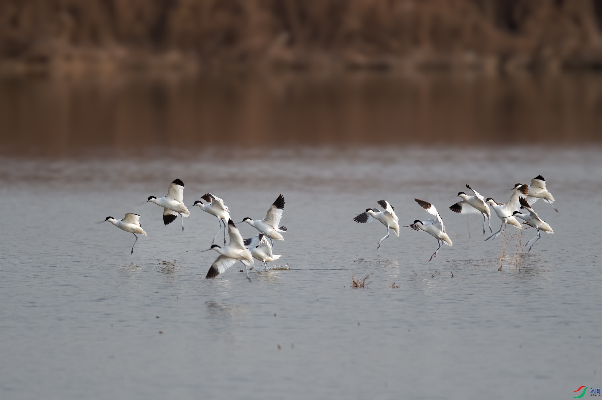 sen2016 12-5-7-�༭-�༭.jpg