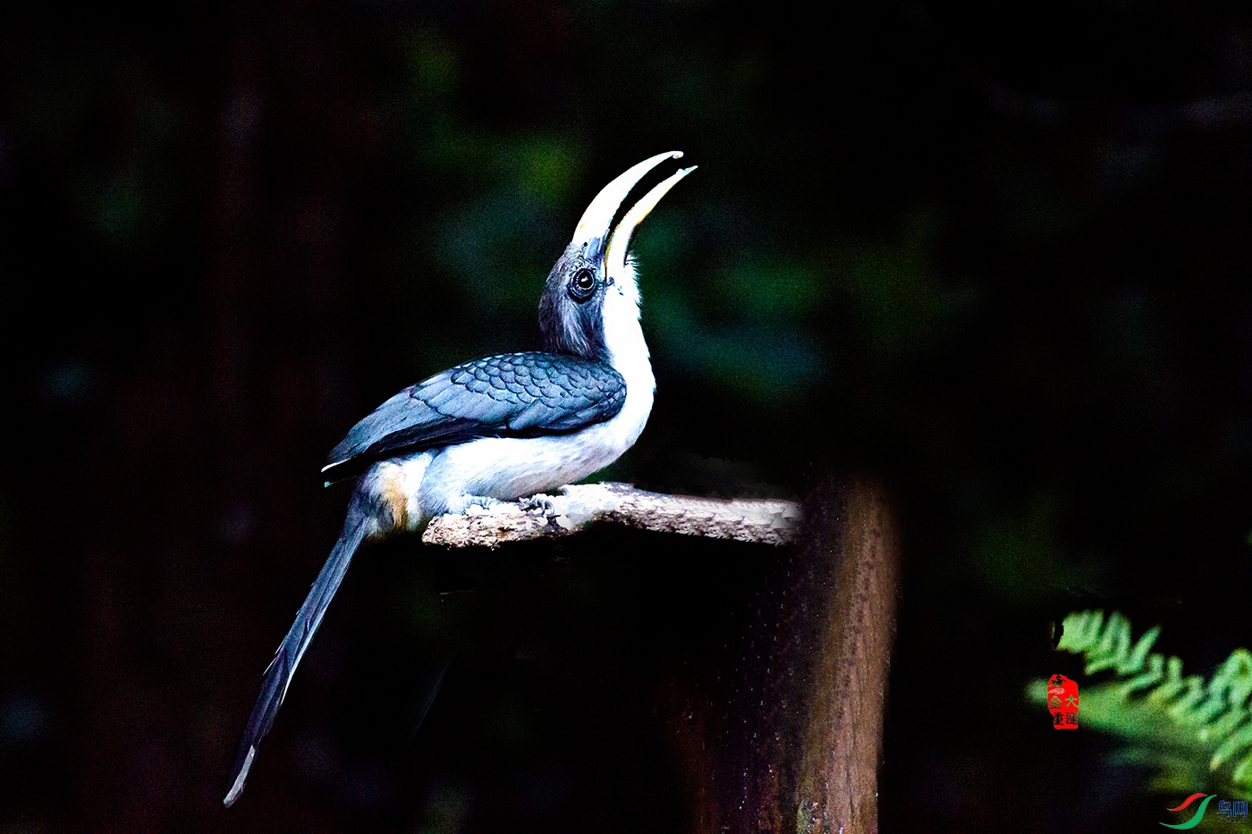 _39Q0528--1.jpg