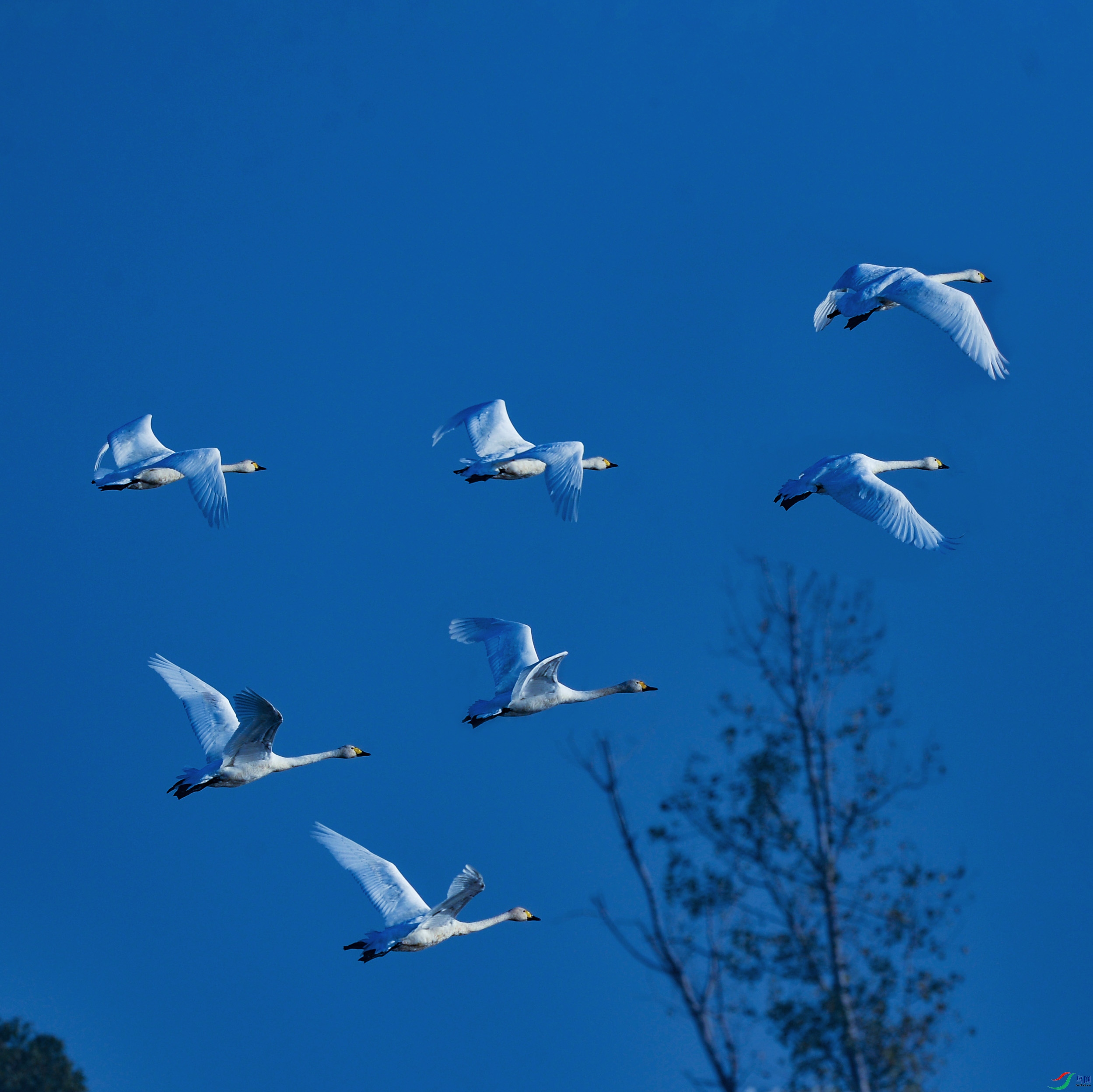 DSC_4949.jpg