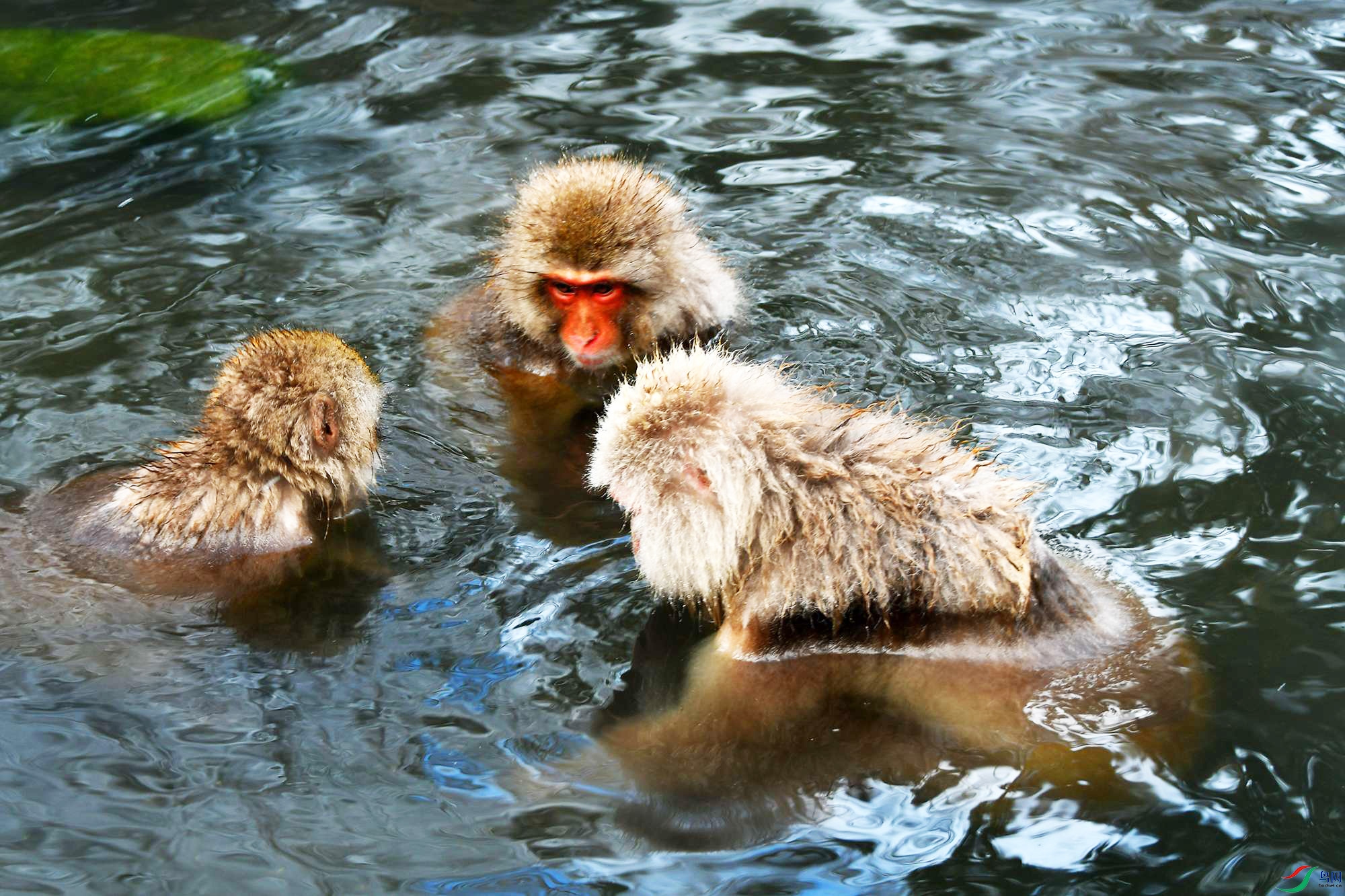 DSC_6087_.jpg