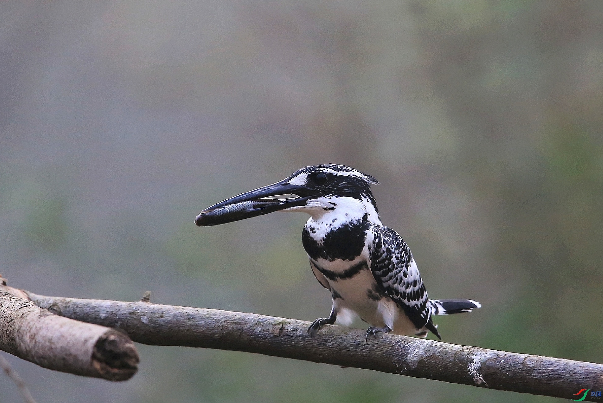 ���� IMGL1564�����������㡪��2.JPG