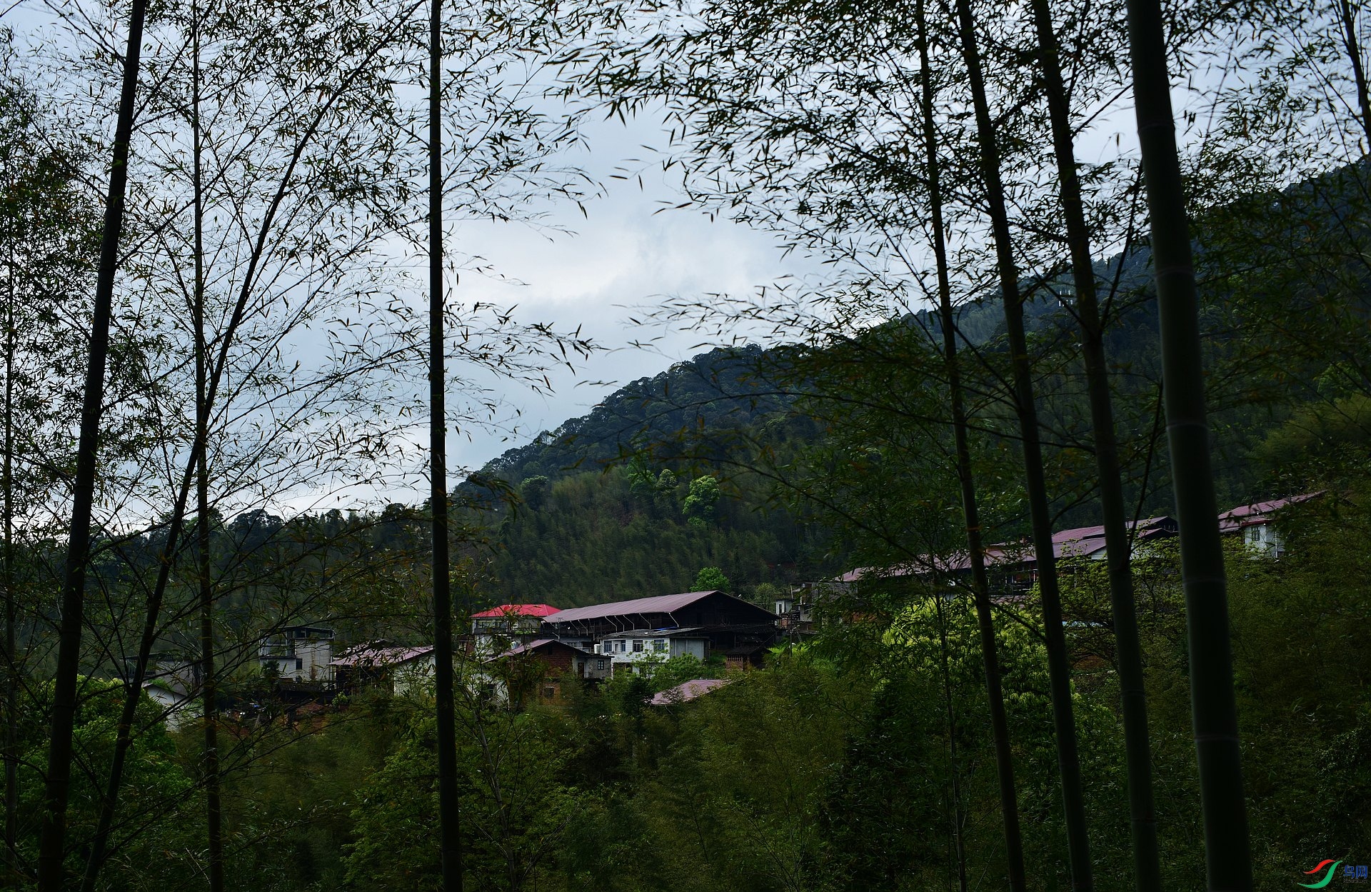 D8I_3031.jpg
