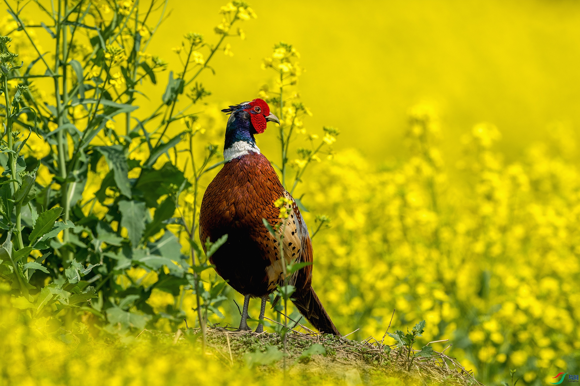 _DSC1358 ����.jpg