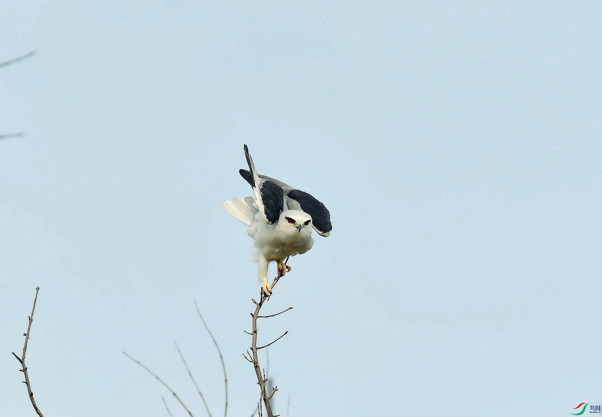 DSC_5762_����.jpg