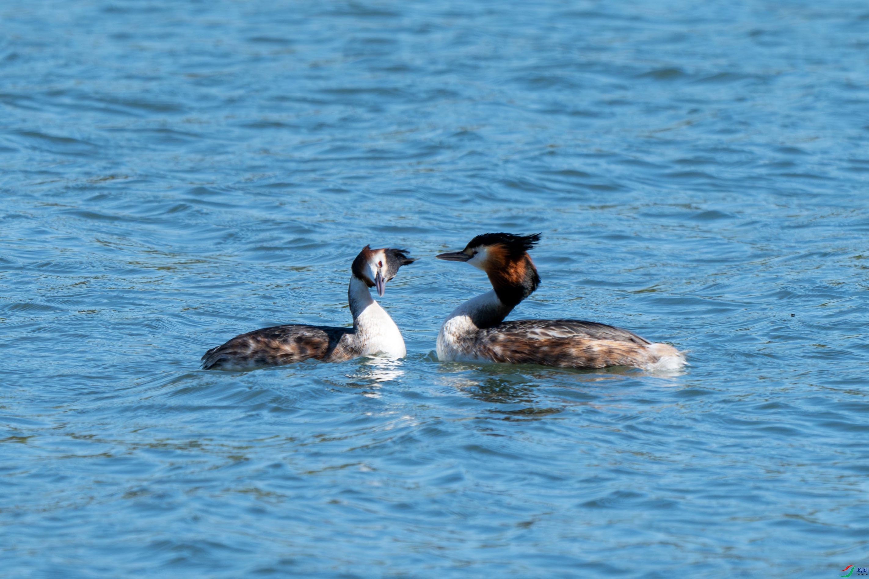 DSC_7914.jpg
