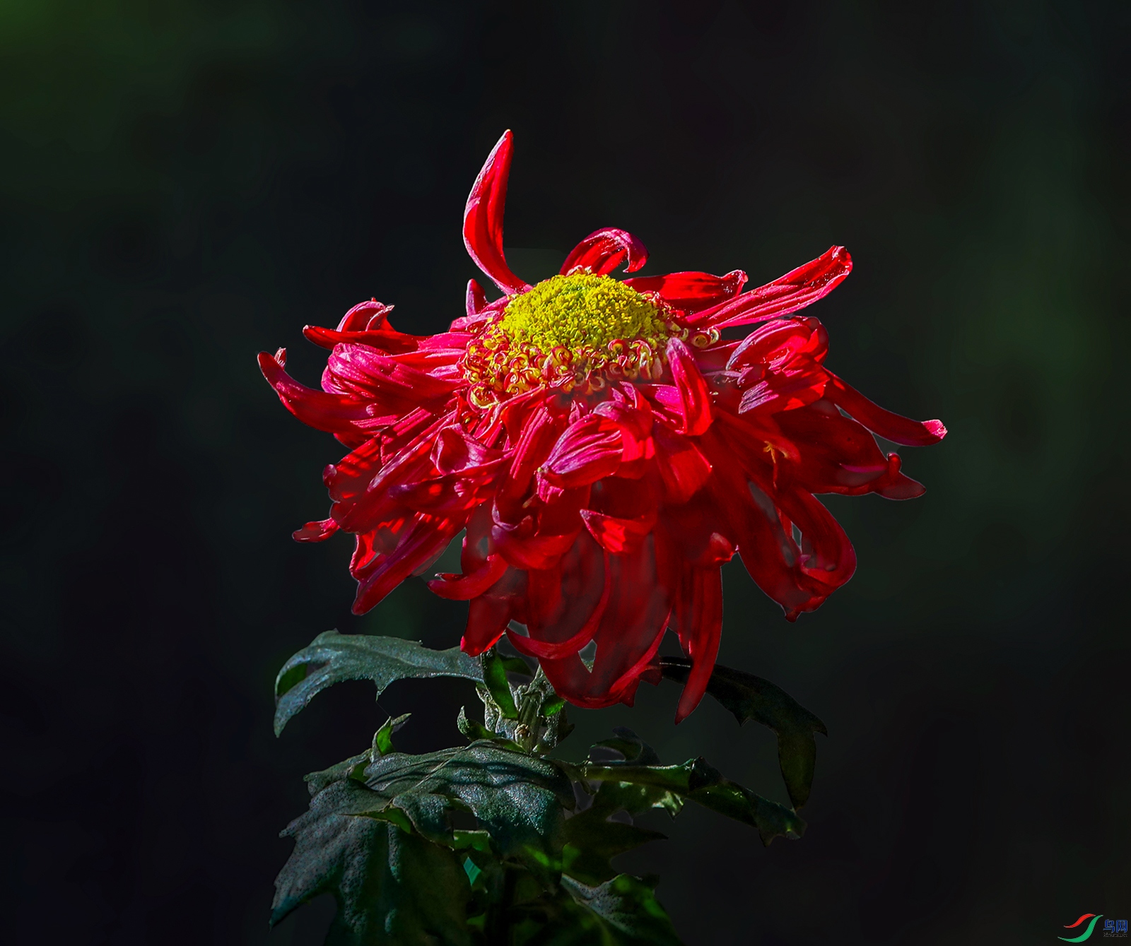 0000583A0418 ����ī��1000k.jpg