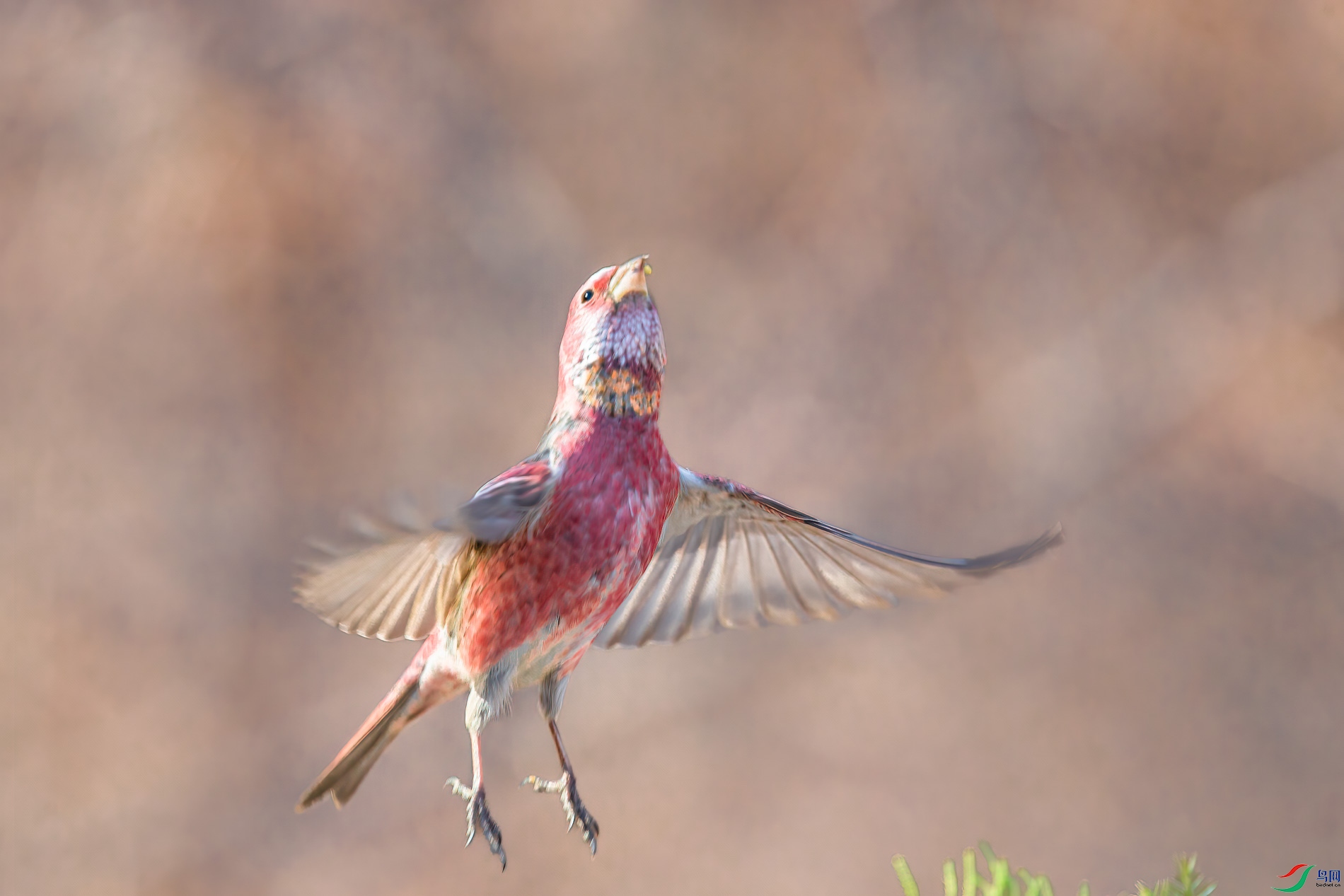AQ4P1878-1.jpg