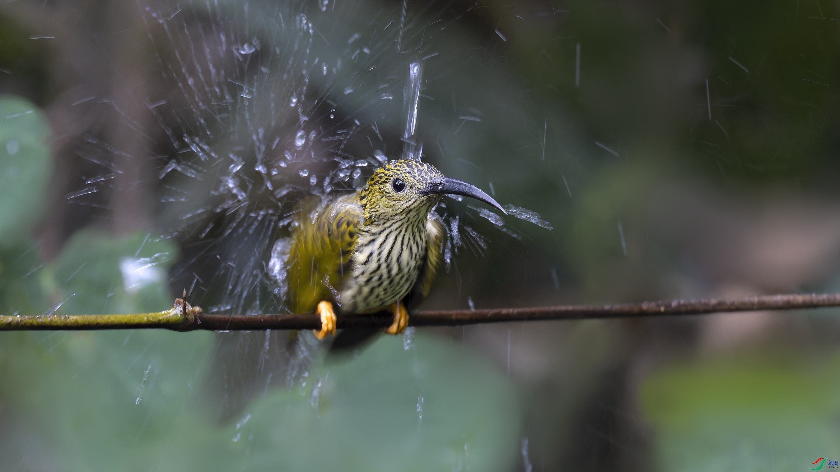 DSC_4599_DxO.jpg