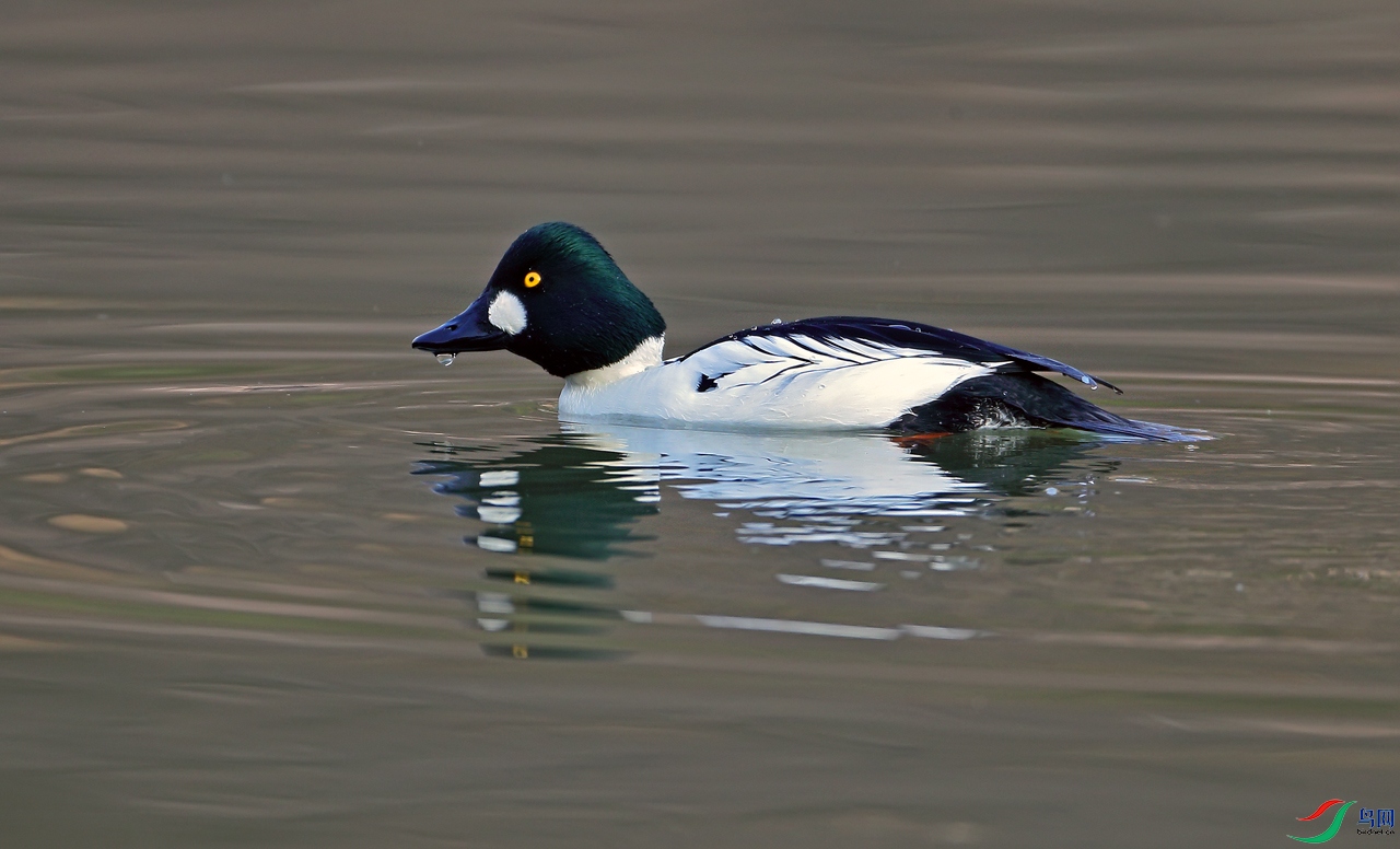 _58I3241-.jpg