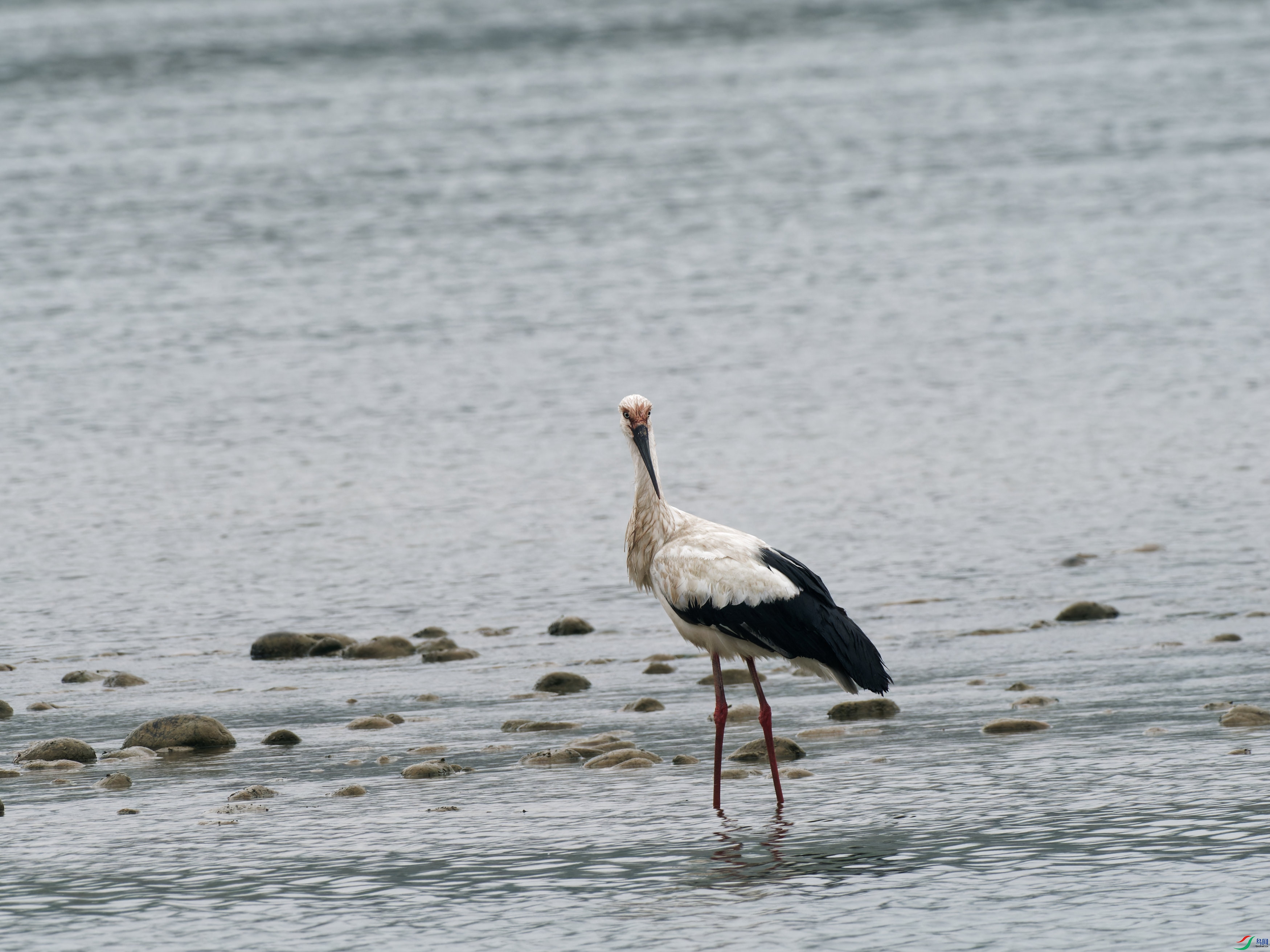 P4010196_DxO_DxO.jpg