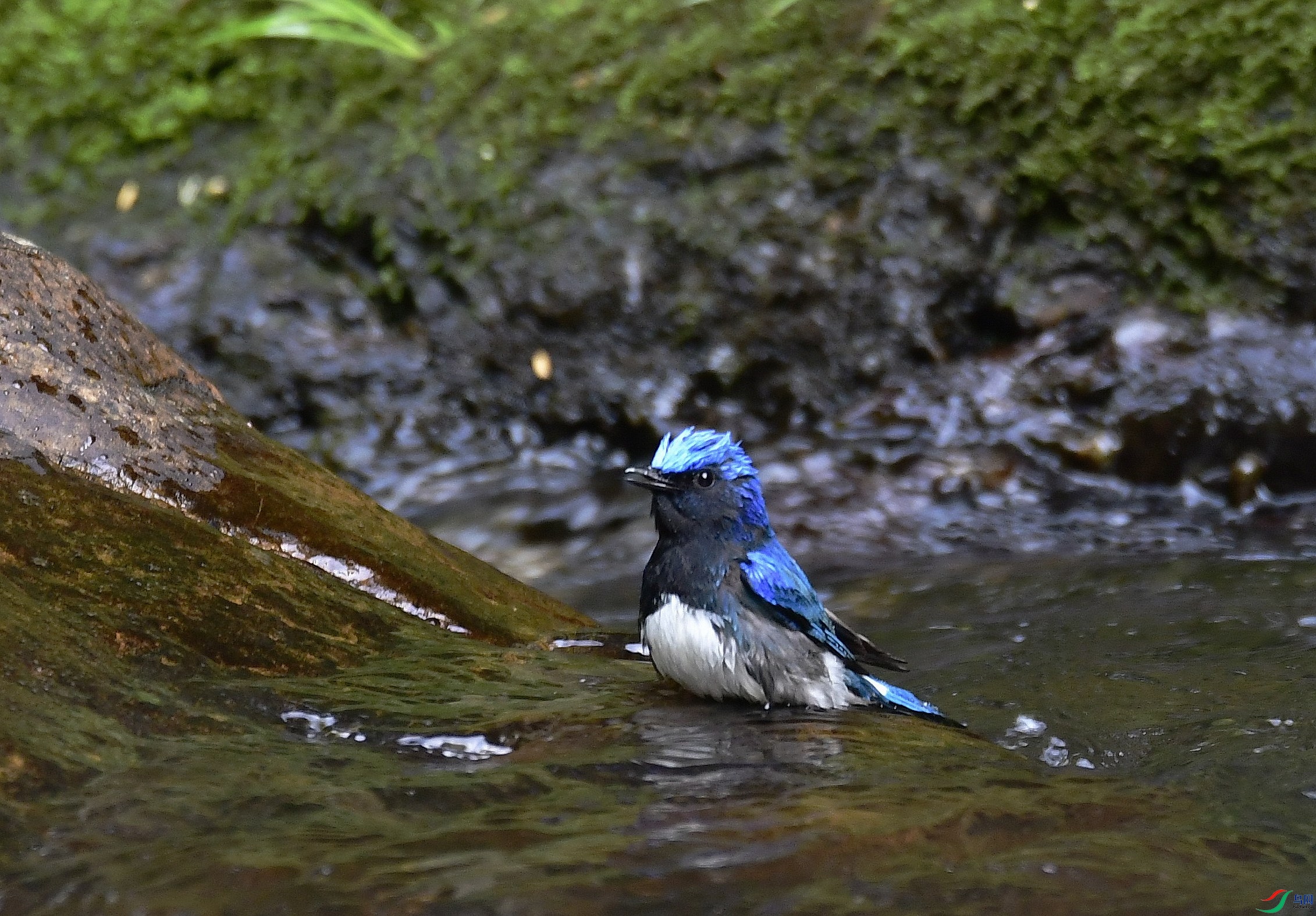 _D5D0226.jpg