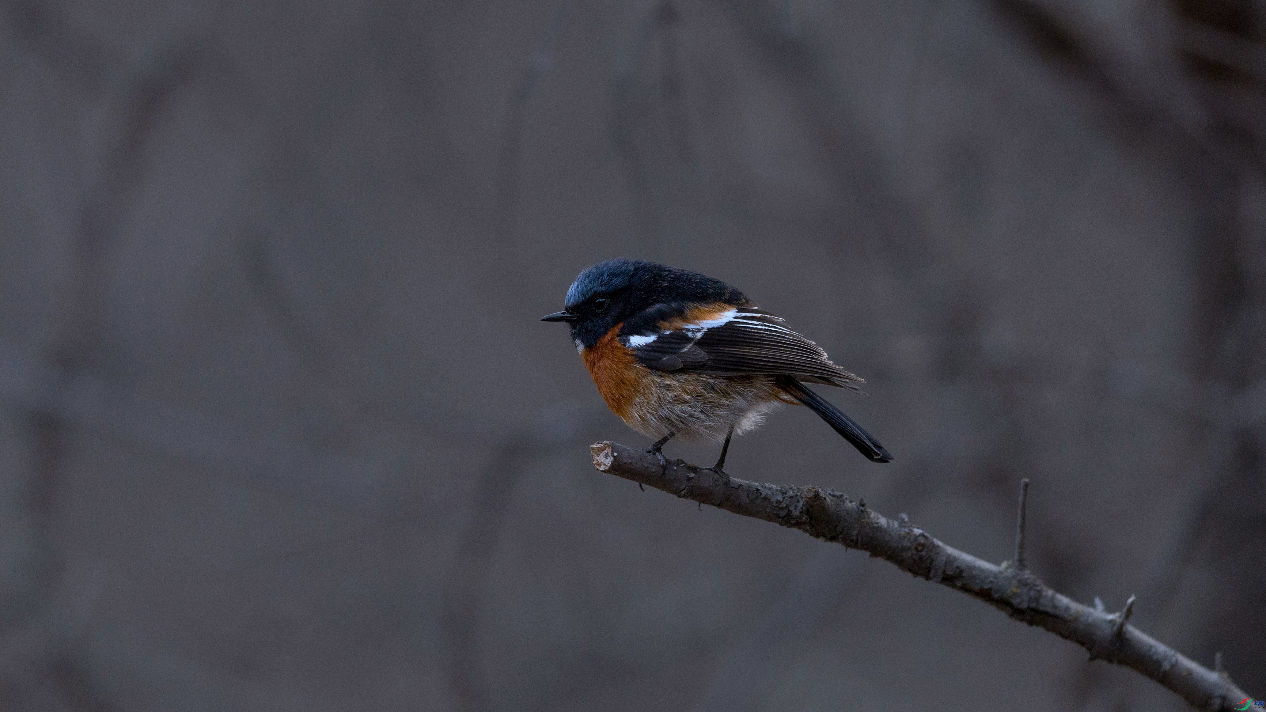 7X5A0249 ���� - ����.jpg