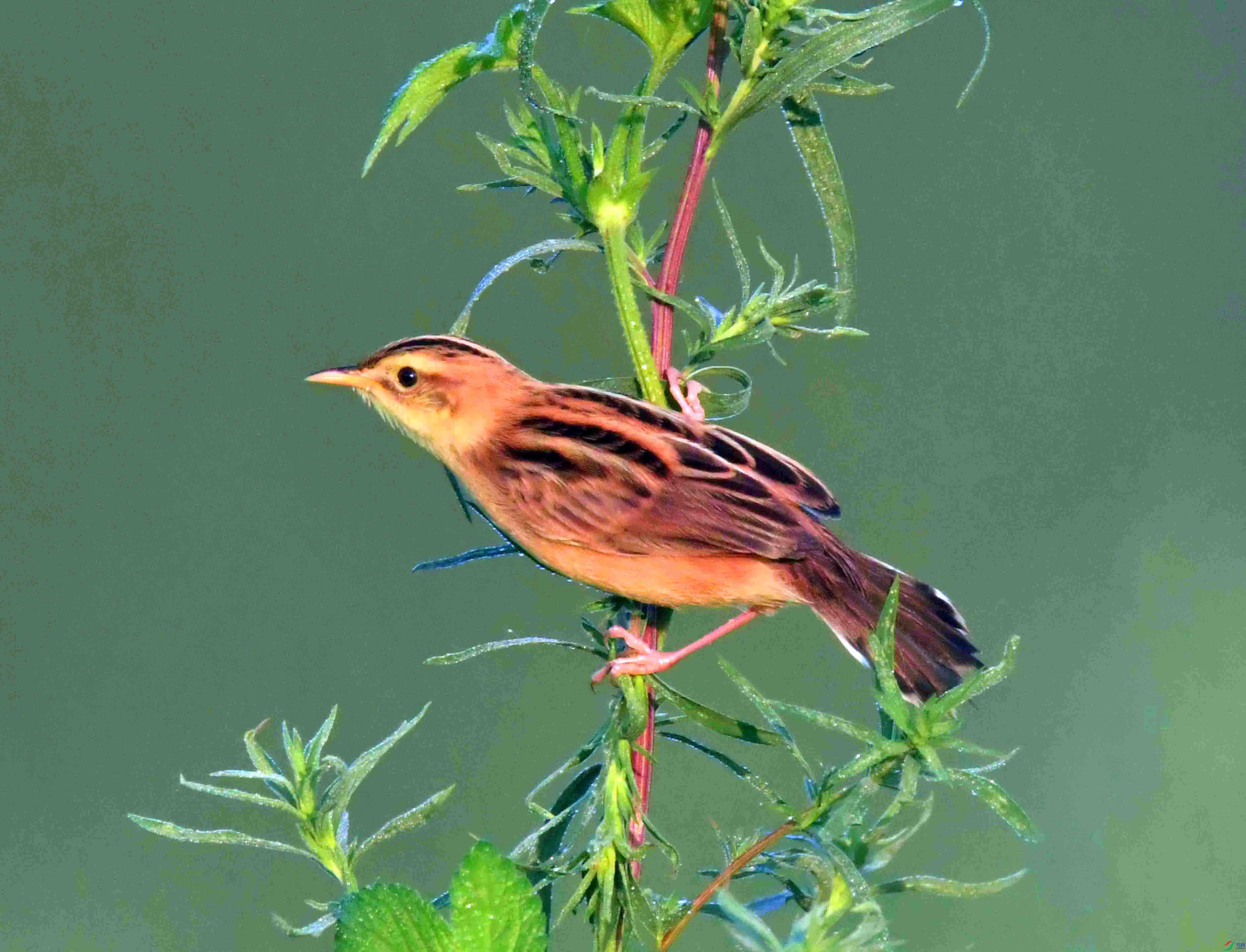 DSC_0866.JPG