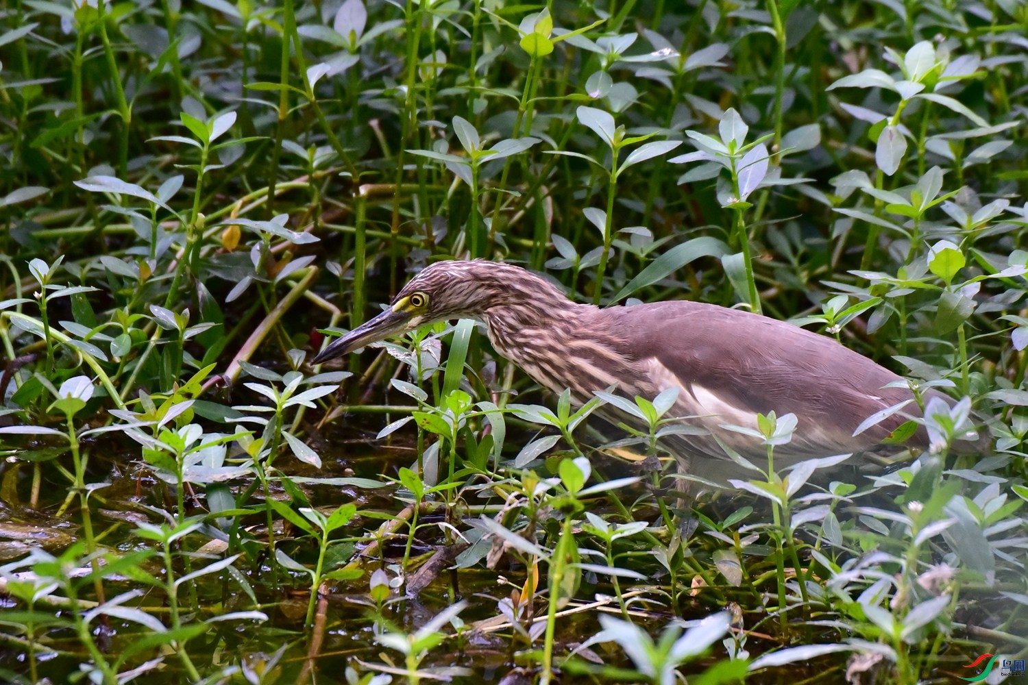 DSC_1180.JPG