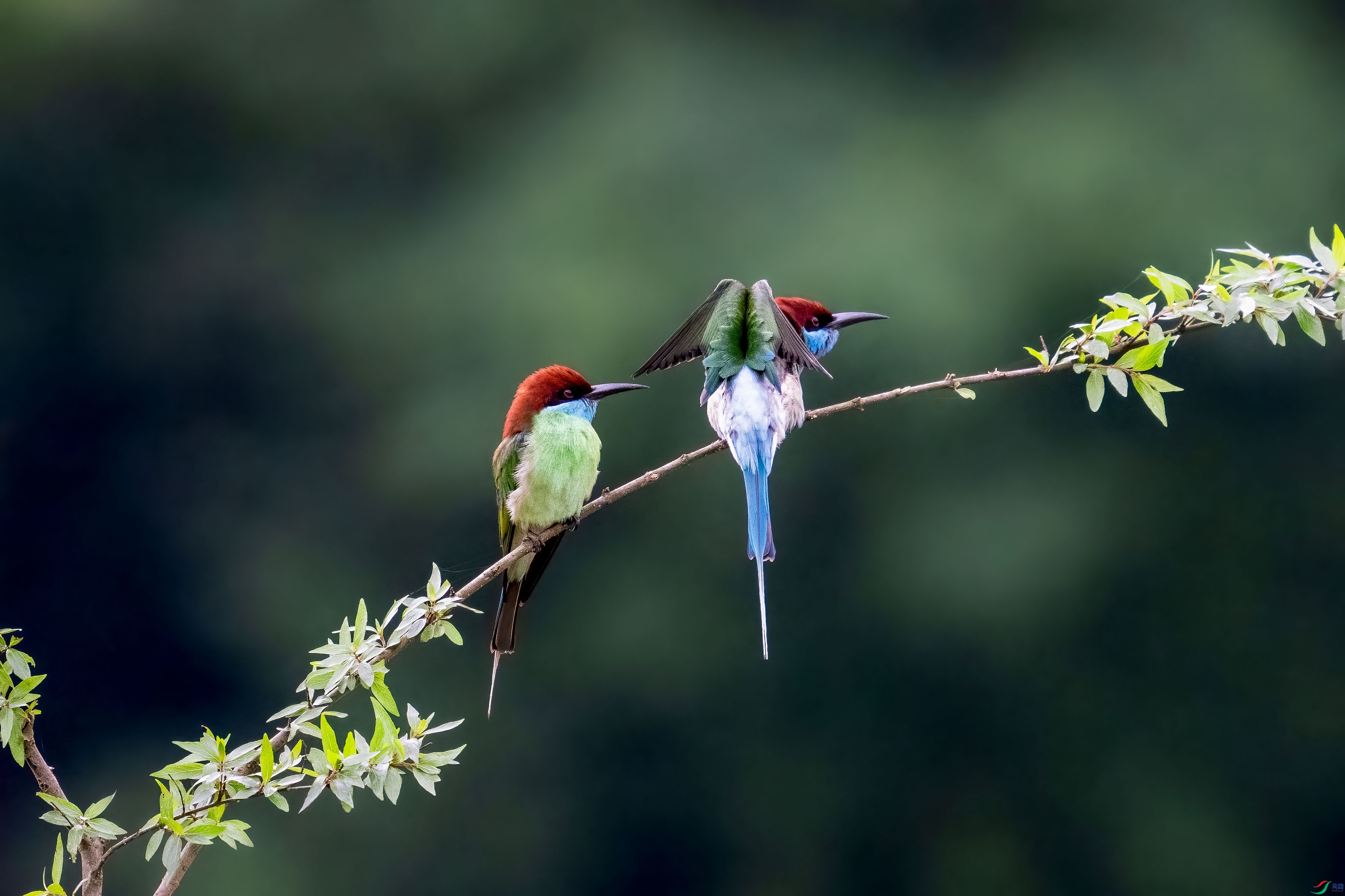DSC_6155.jpg