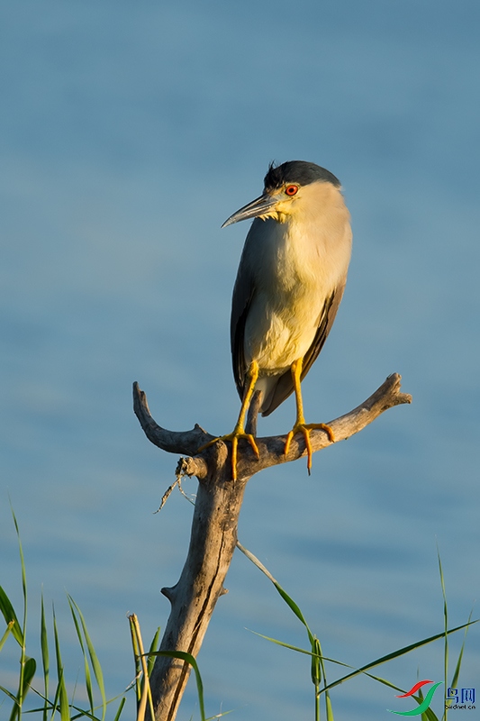 DSC_5585.jpg