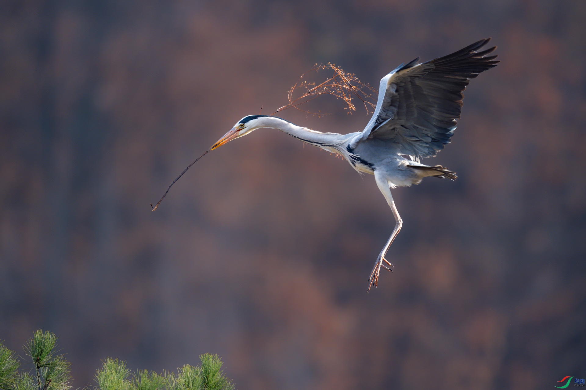 sen2016 4-3-4-�༭-3.jpg