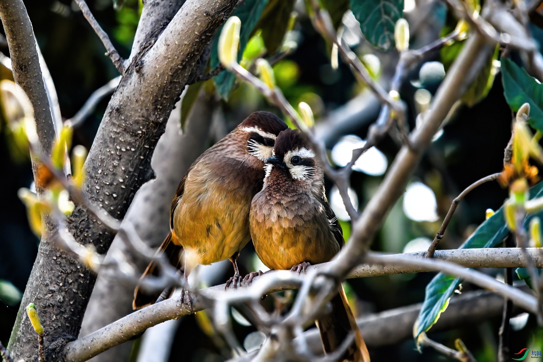 DSC_9916 ����.jpg