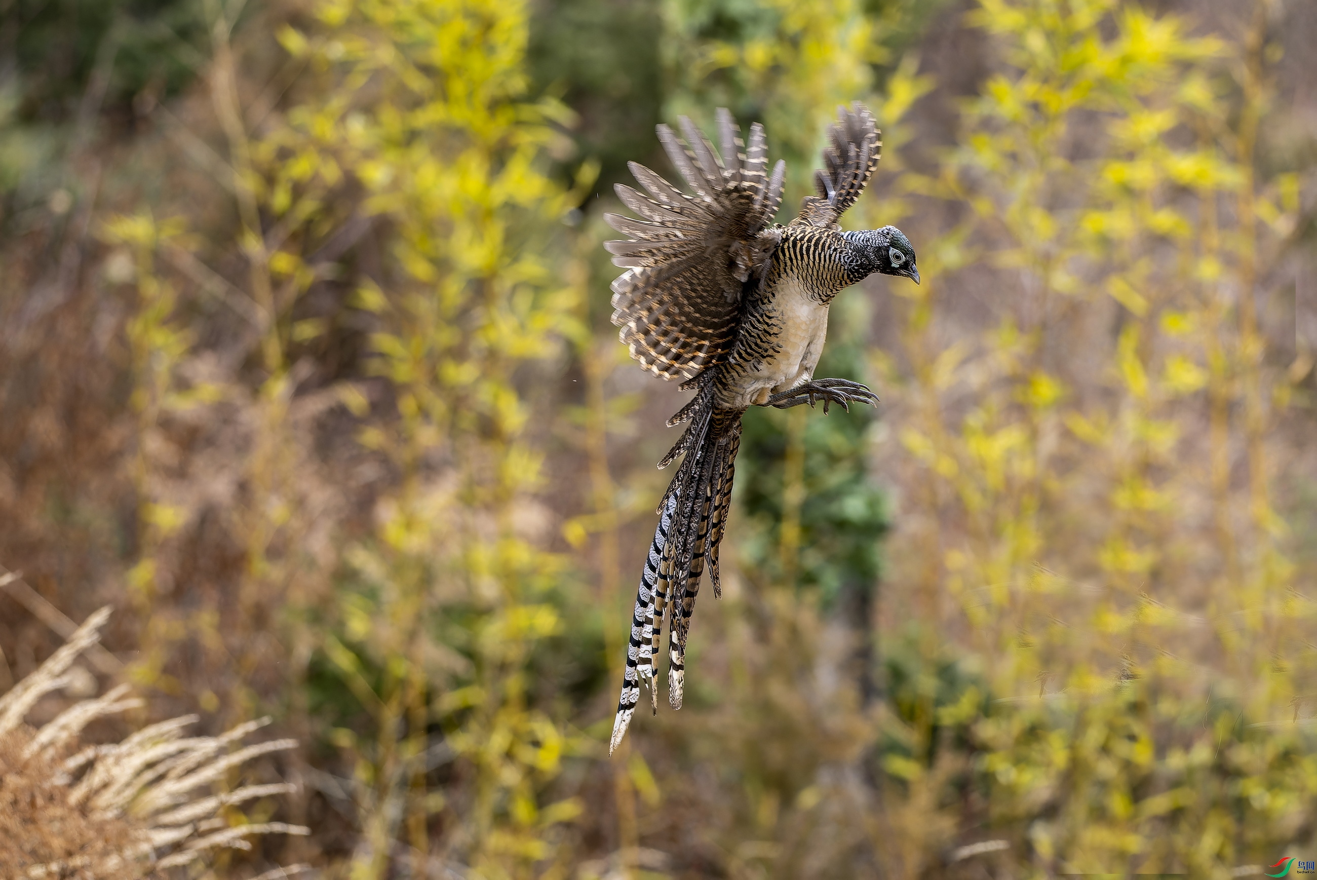 �׸����� (��) (10)-1.jpg