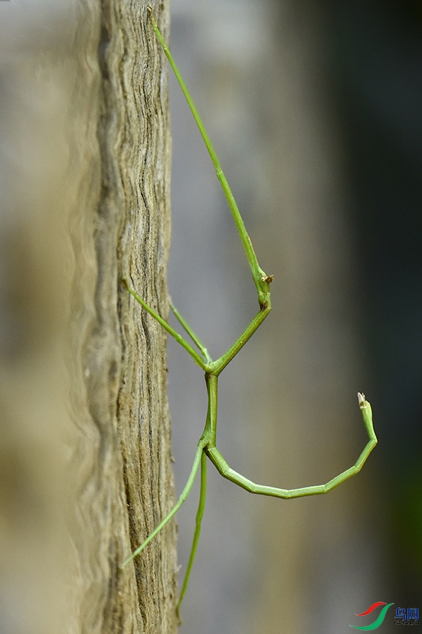_DSC8179---.jpg