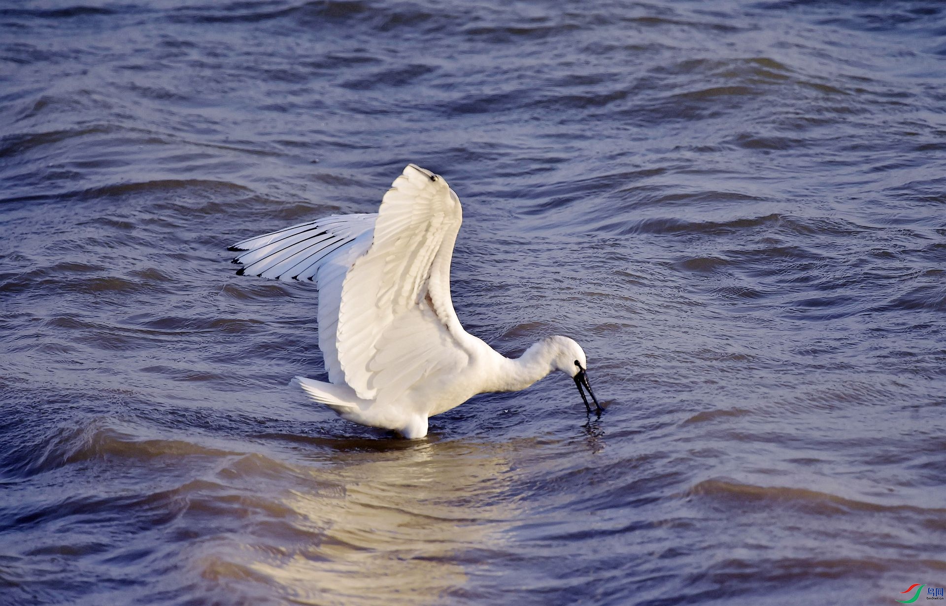 _DSC3401_����.jpg